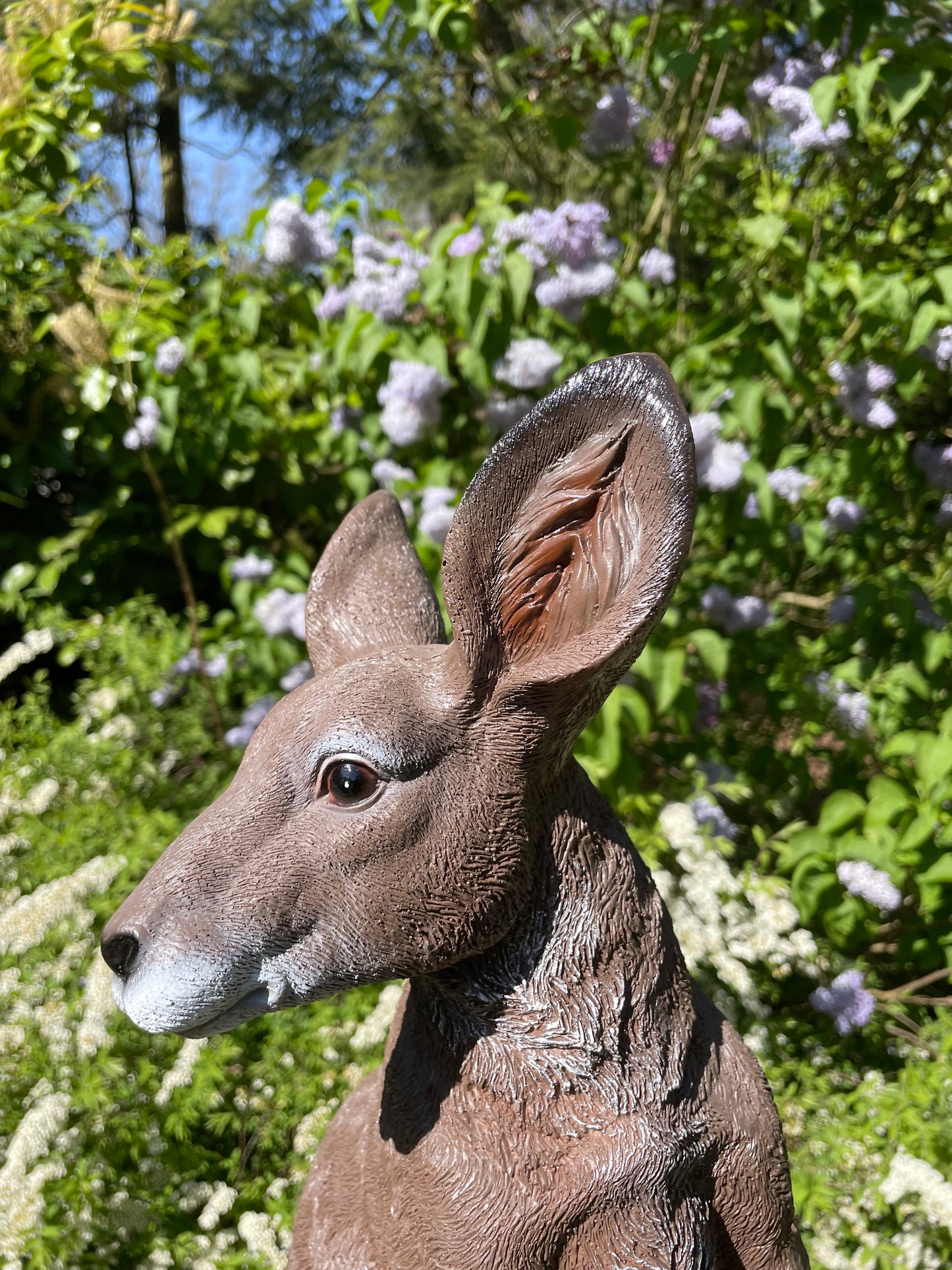 Beeld Kangoeroe groot tuin, vijver, boerderij, dierentuin 90cm