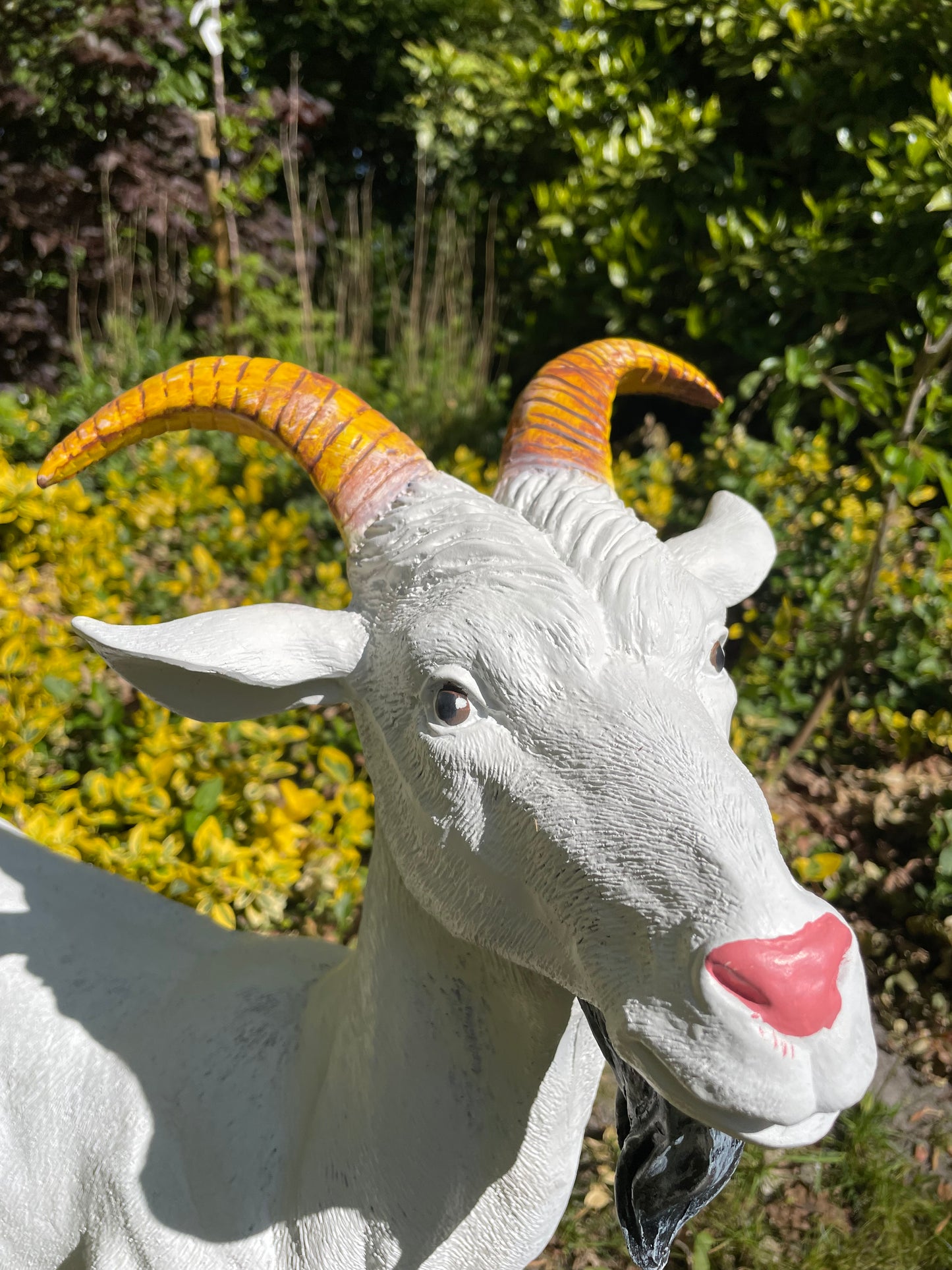Beeld bok, Geit gele hoorns tuin, gazon, boerderij 65cm