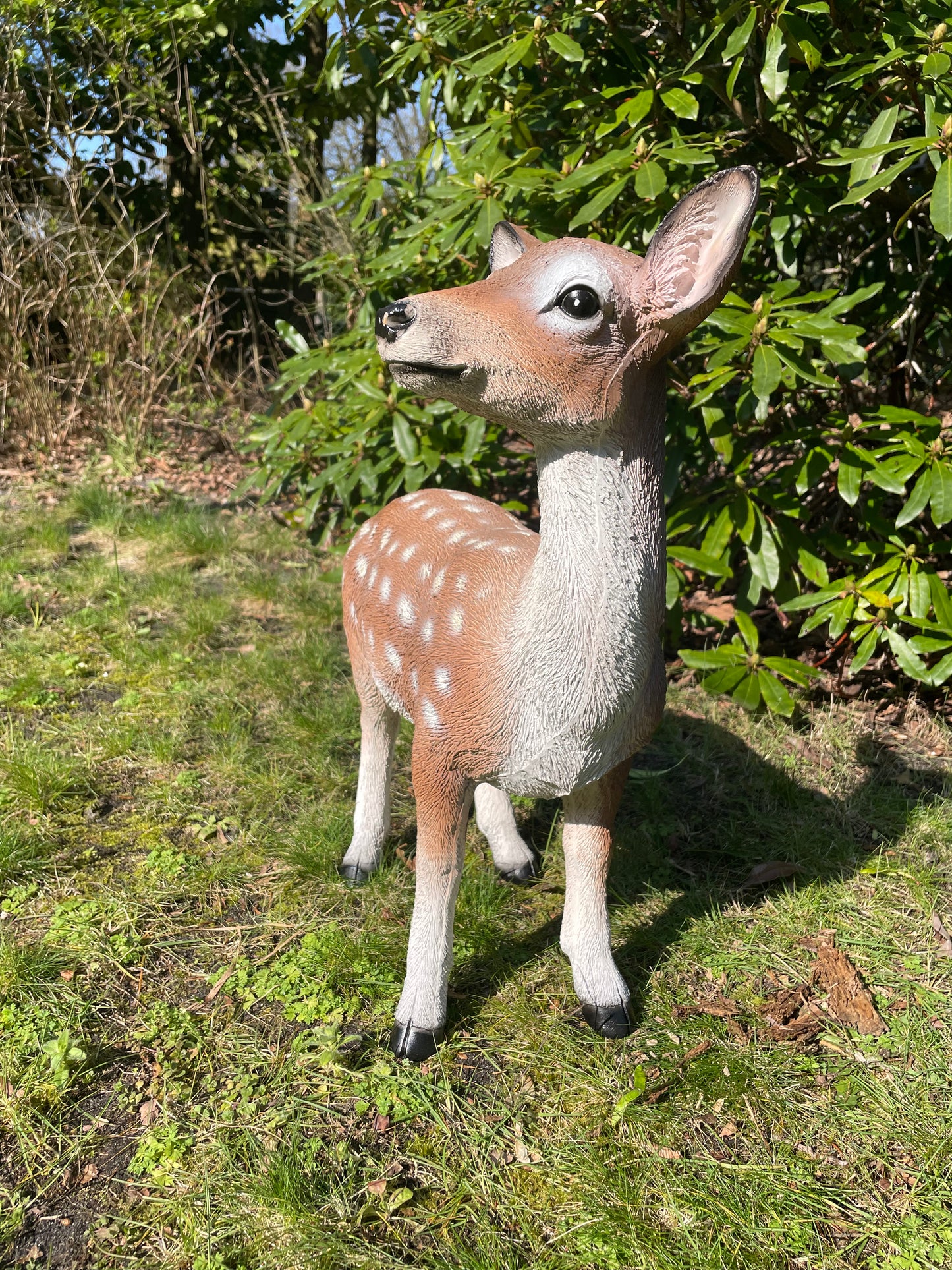Beeld Hert, tuin, bos, gazon, boerderij 50cm