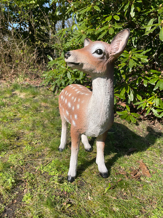 Beeld Hert, tuin, bos, gazon, boerderij 50cm