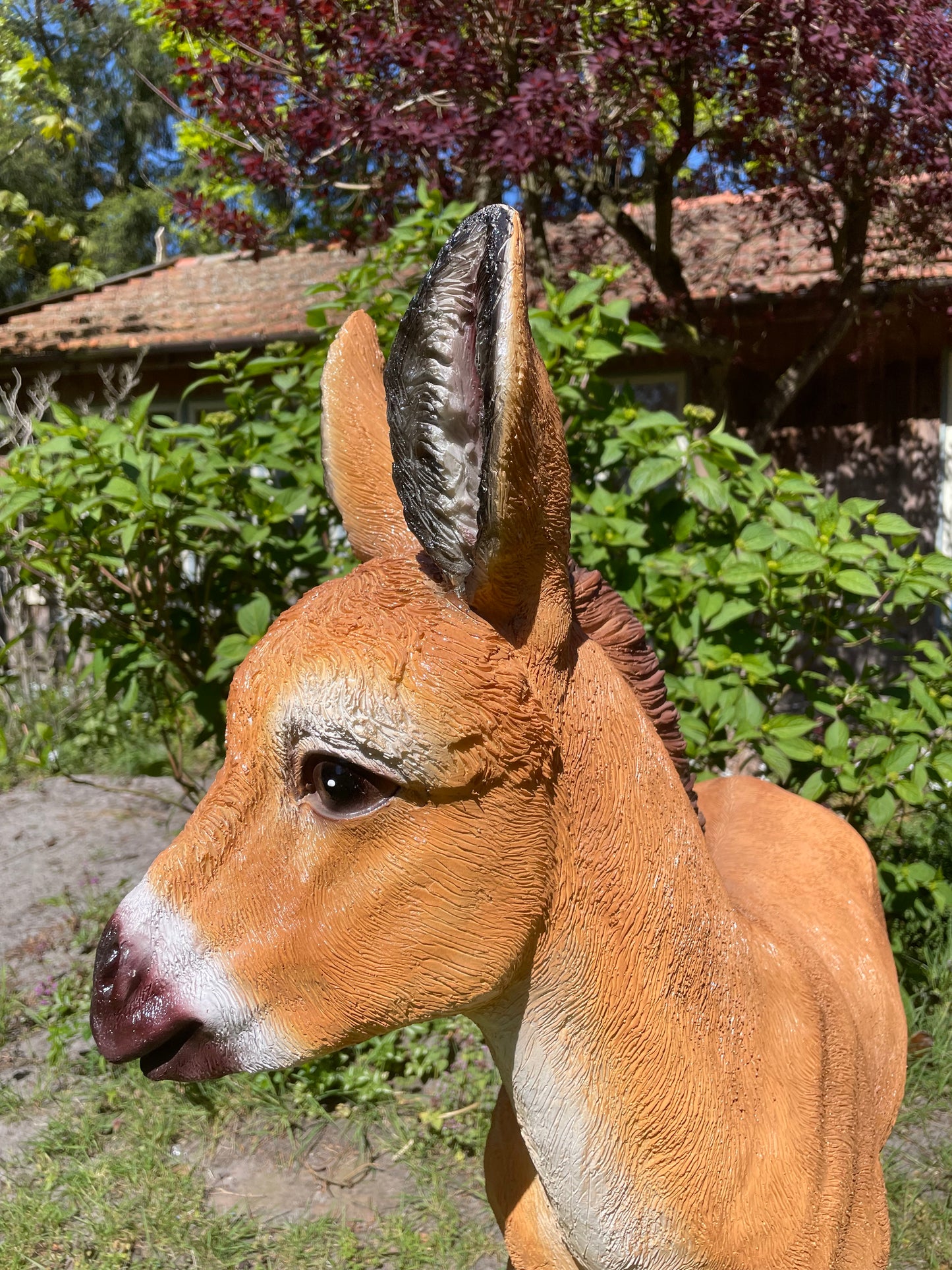 Ezel bruin, tuin, boerderij, vijver, dierentuin 100cm