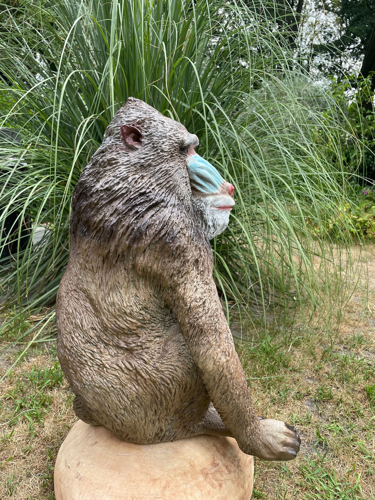 Mandril baviaan aap beeld tuin dierentuin 66cm