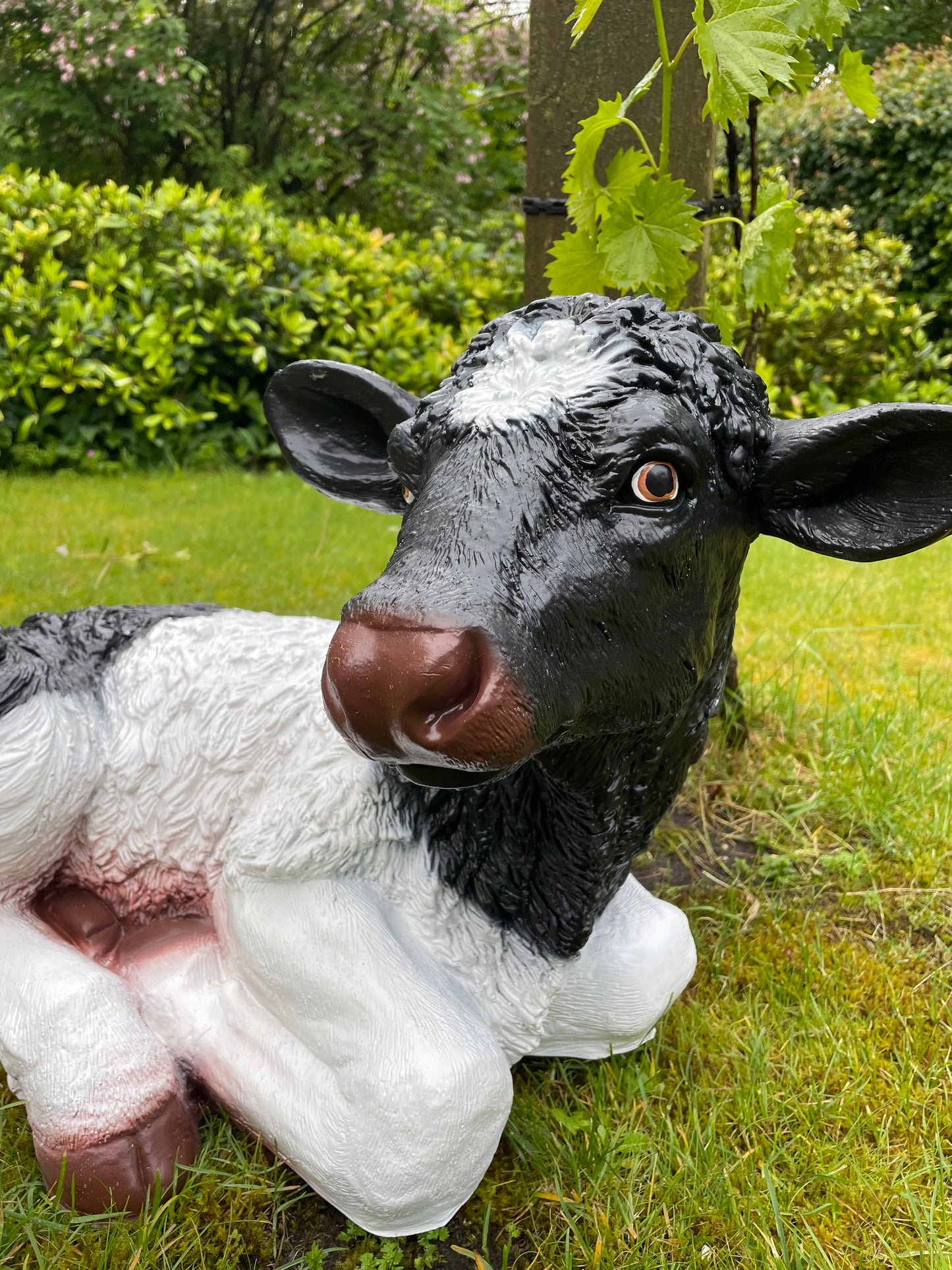 Koe kalf tuin, vijver, boerderij, dierentuin 75cm