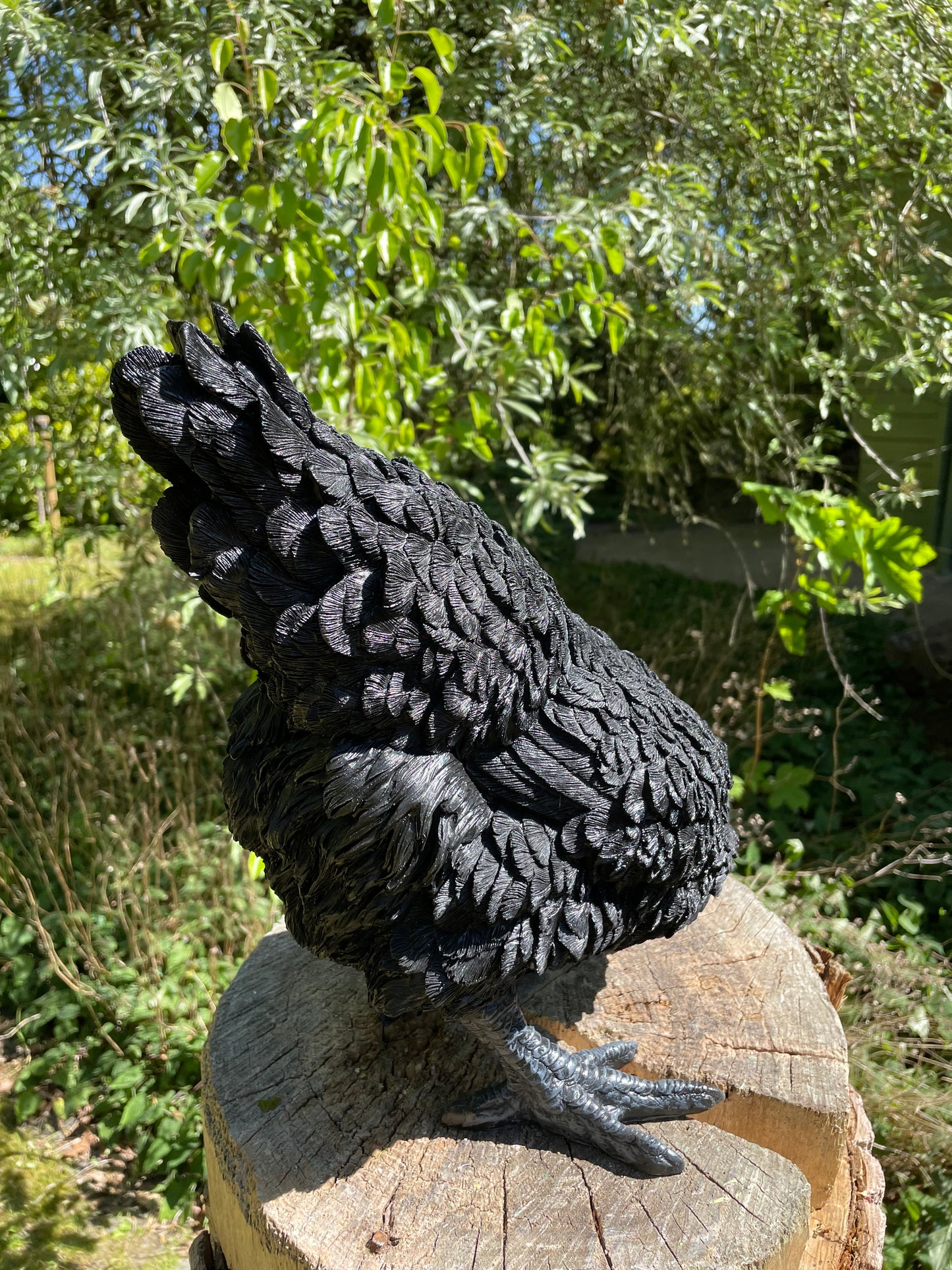 Beeld kip, zwart, tuin, vijver, gazon, boerderij 35cm