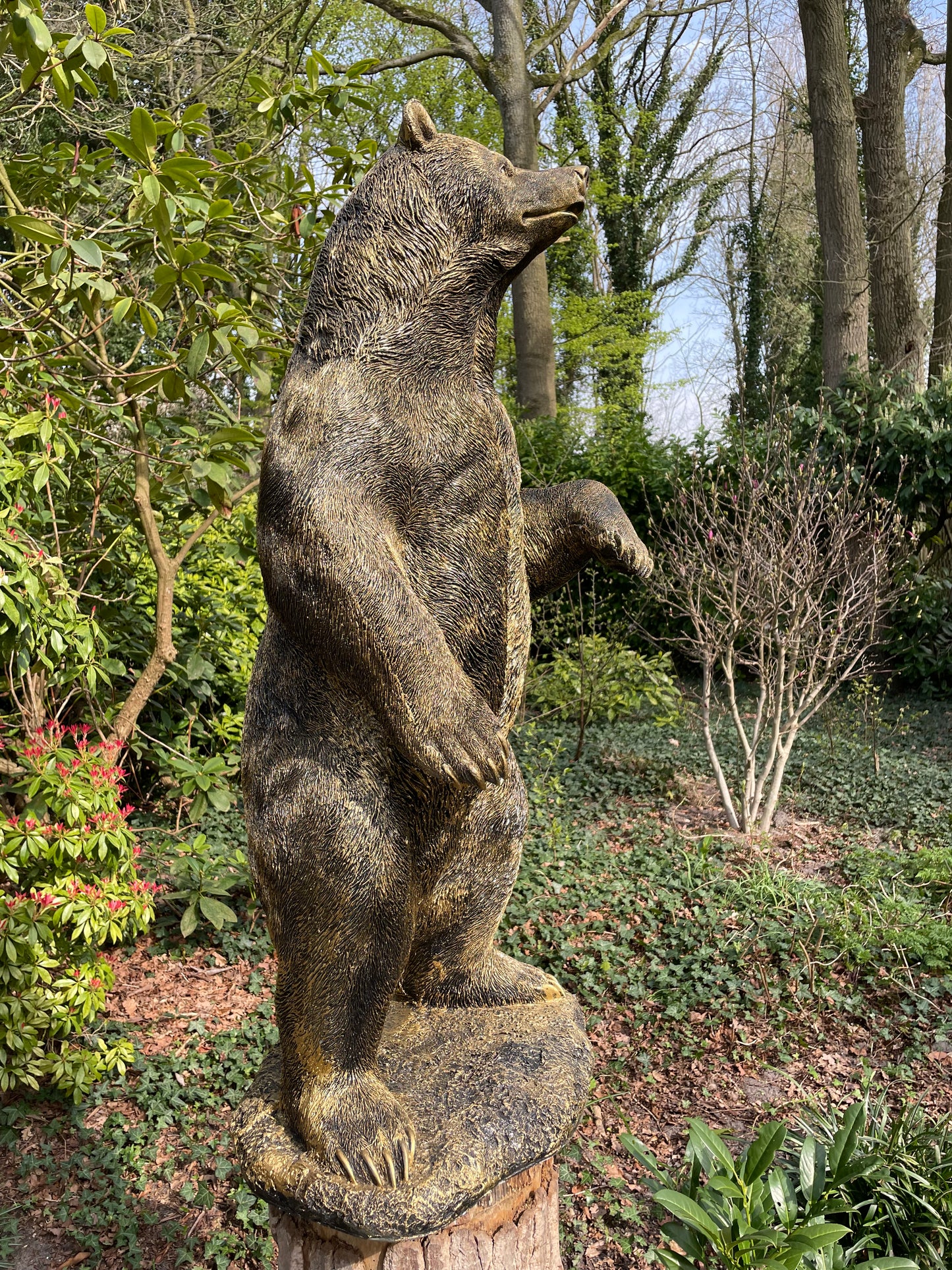 Beeld Beer, Antiek goud, tuin, gazon, manege, 120cm