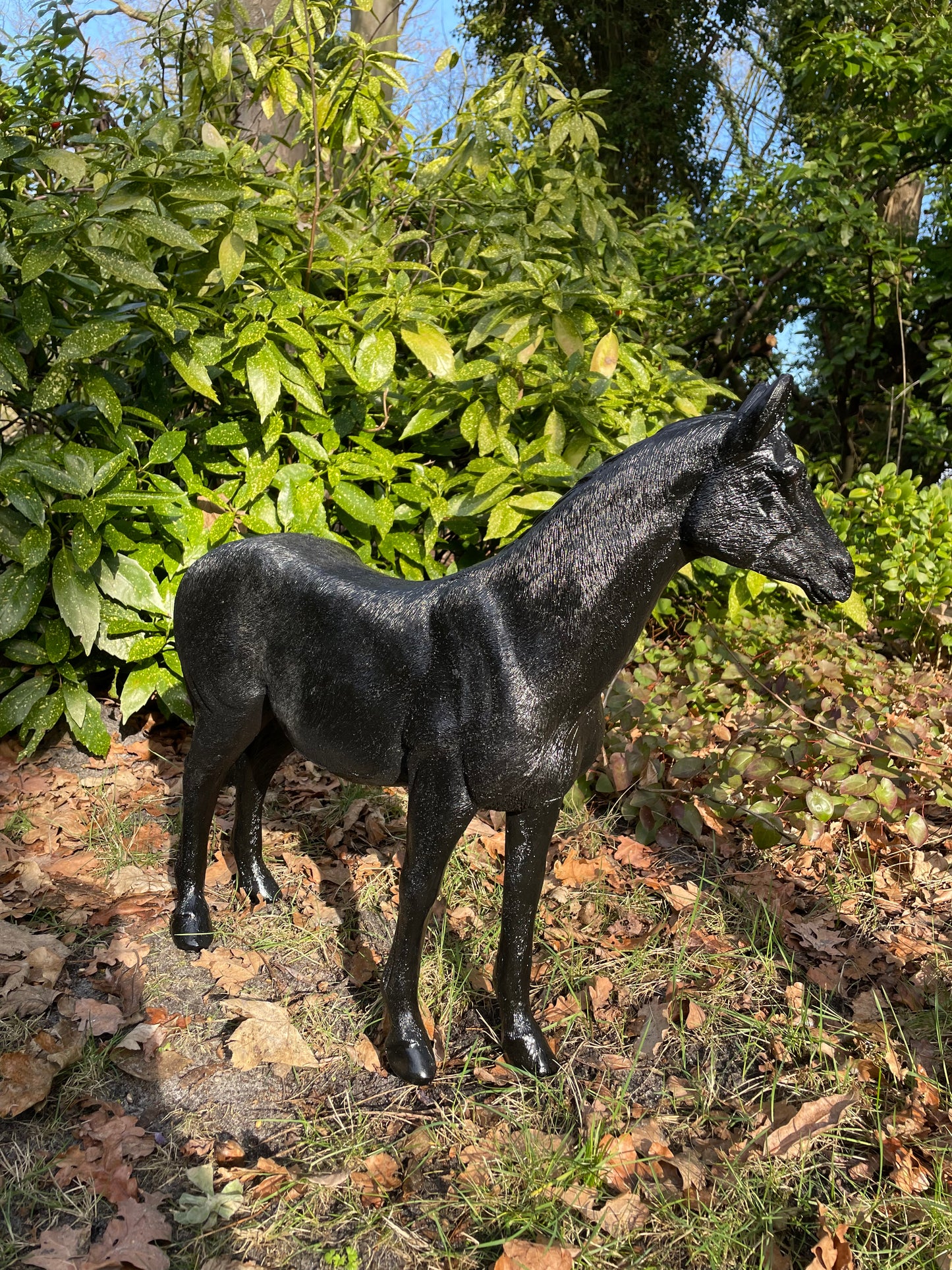 Paard, pony, veulen manege tuin paardrijden 70cm