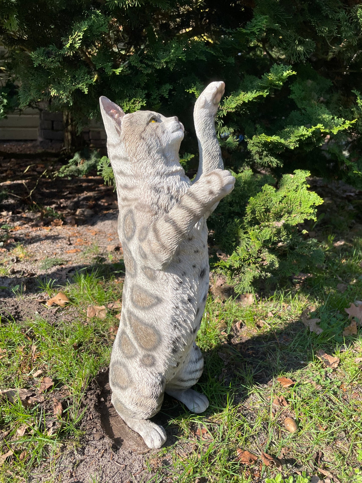 (Tuin)Beeld Poes, kat, tuin, gazon, kitten, boerderij 50cm