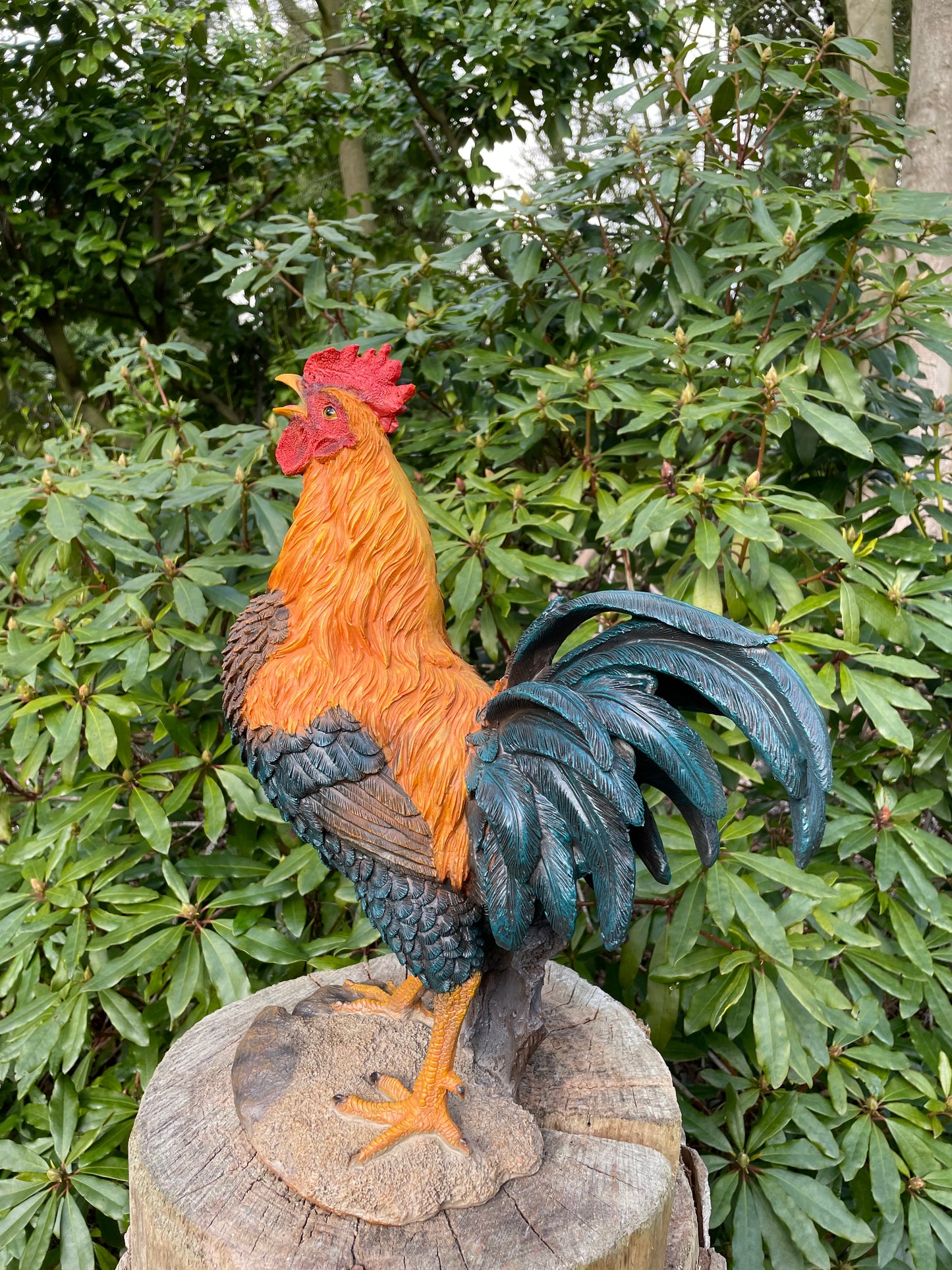 Beeld Haan, tuin, vijver, gazon, boerderij 50cm