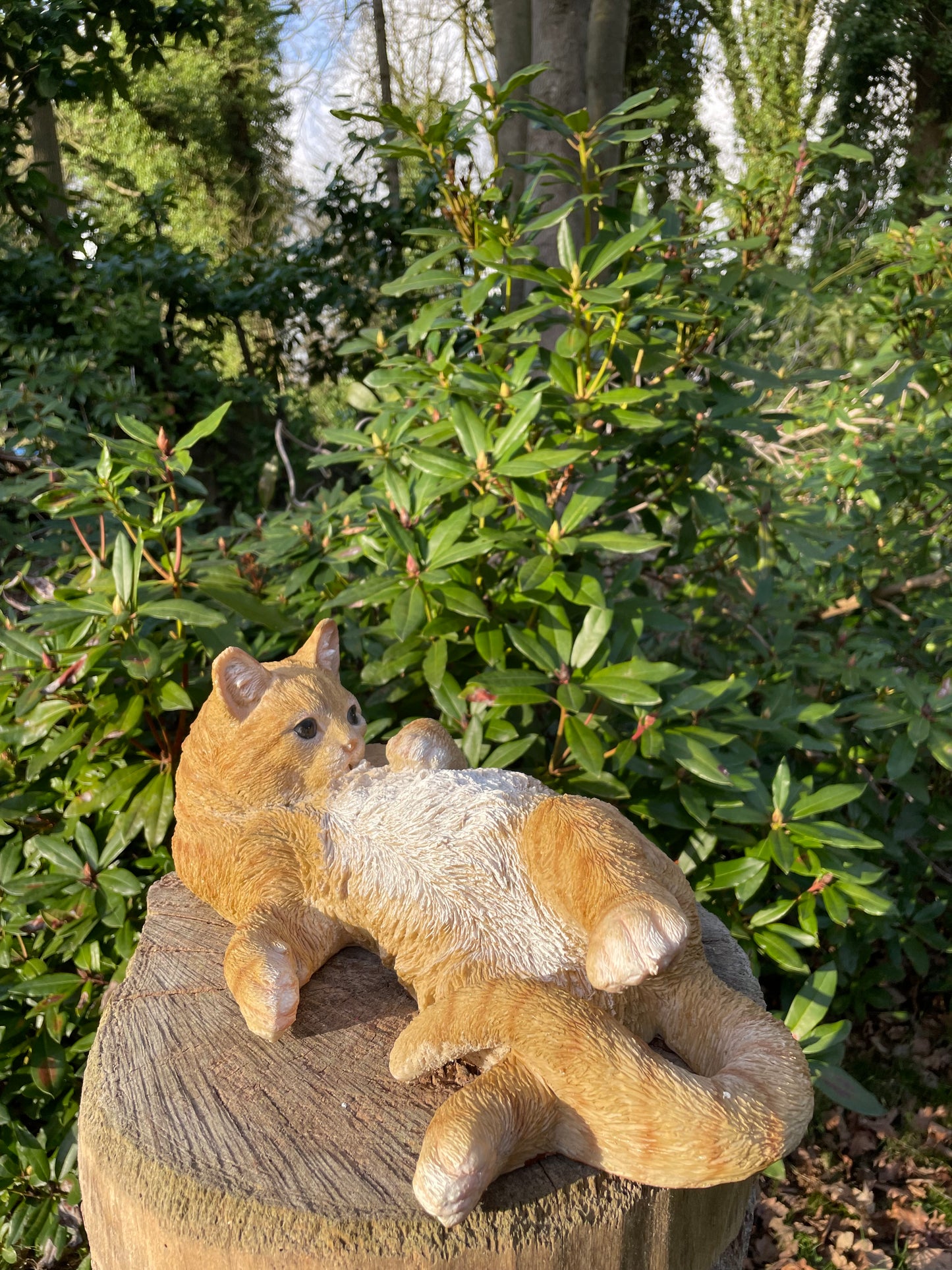 Poes, kat, liggend bruin 40cm