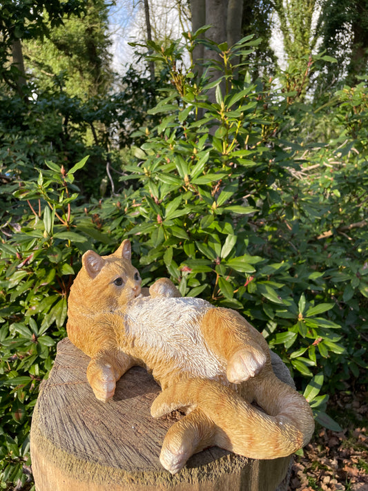 Poes, kat, liggend bruin 40cm