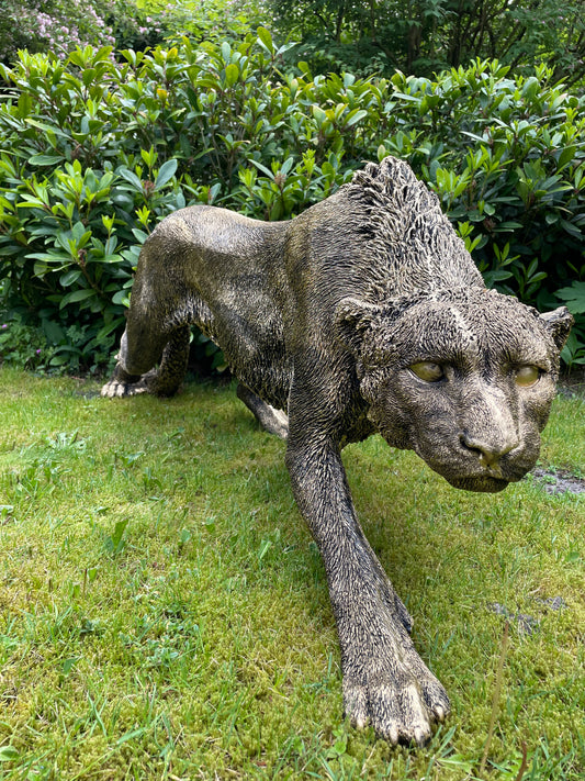 Panter sluipend antiek goud gazon, tuin, dierentuin, 125 cm