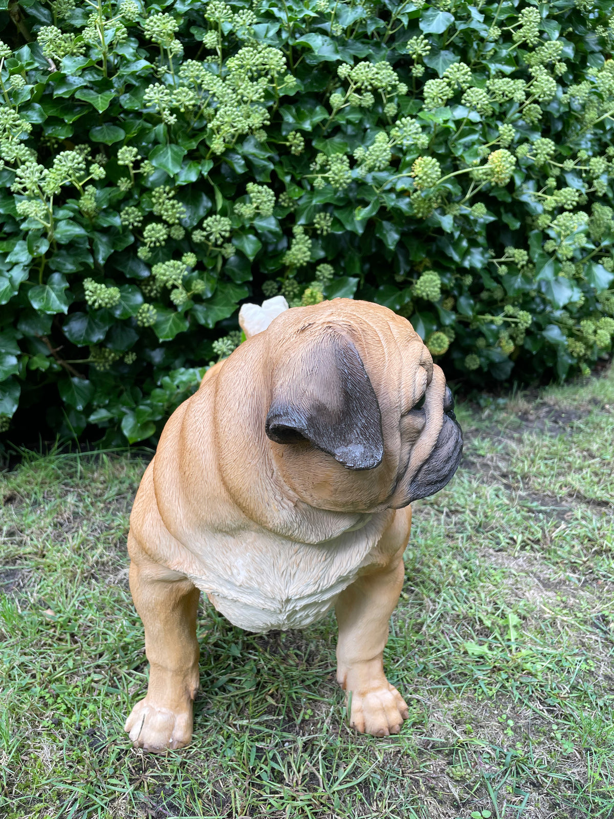 Mops hondje staand 50cm