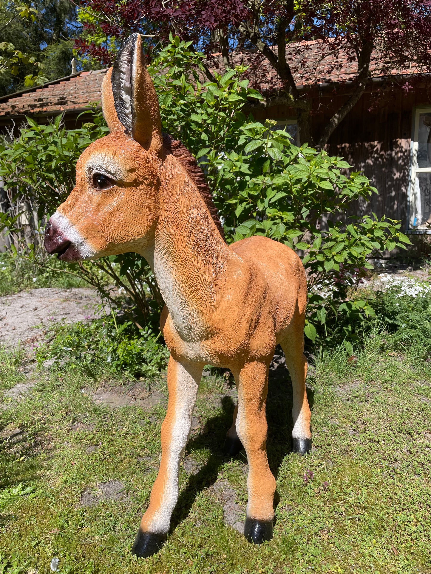Ezel bruin, tuin, boerderij, vijver, dierentuin 100cm