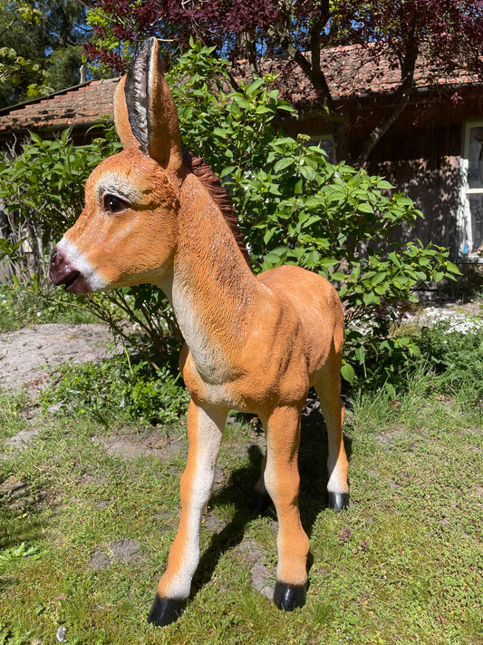 Ezel bruin, tuin, boerderij, vijver, dierentuin 100cm