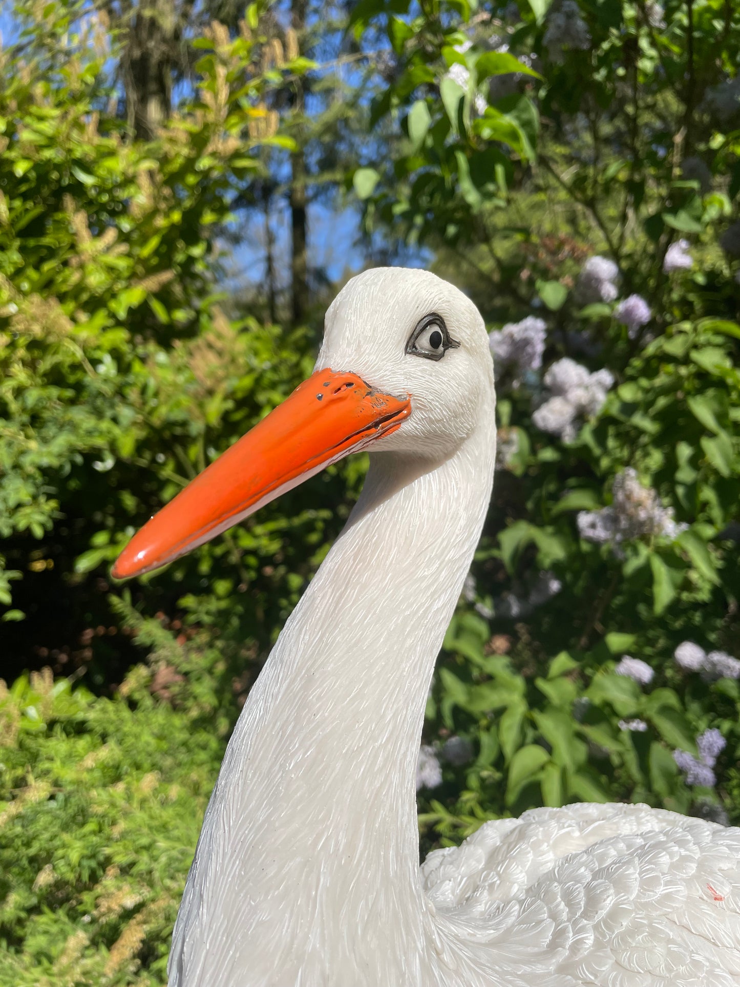 Ooievaar, tuin, boerderij, vijver, dierentuin 80cm