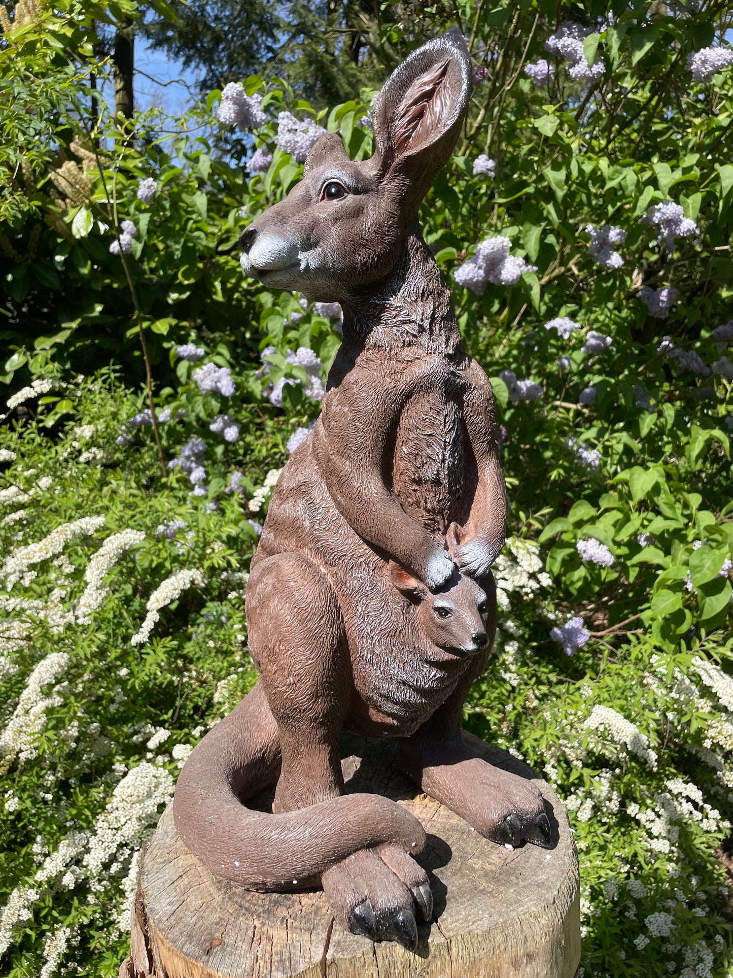 Beeld Kangoeroe groot tuin, vijver, boerderij, dierentuin 90cm