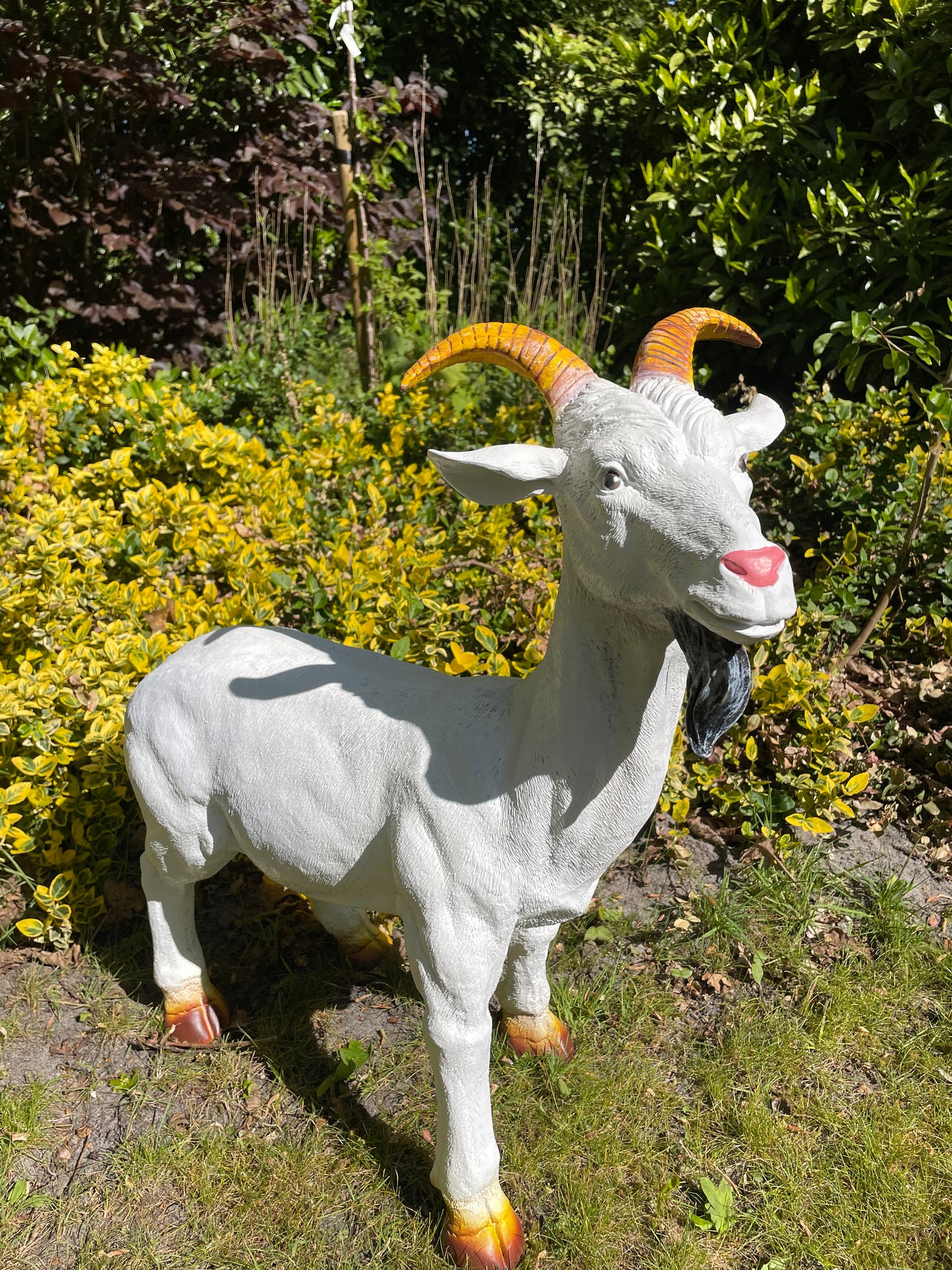 Beeld bok, Geit gele hoorns tuin, gazon, boerderij 65cm