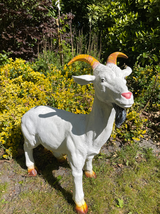 Beeld bok, Geit gele hoorns tuin, gazon, boerderij 65cm