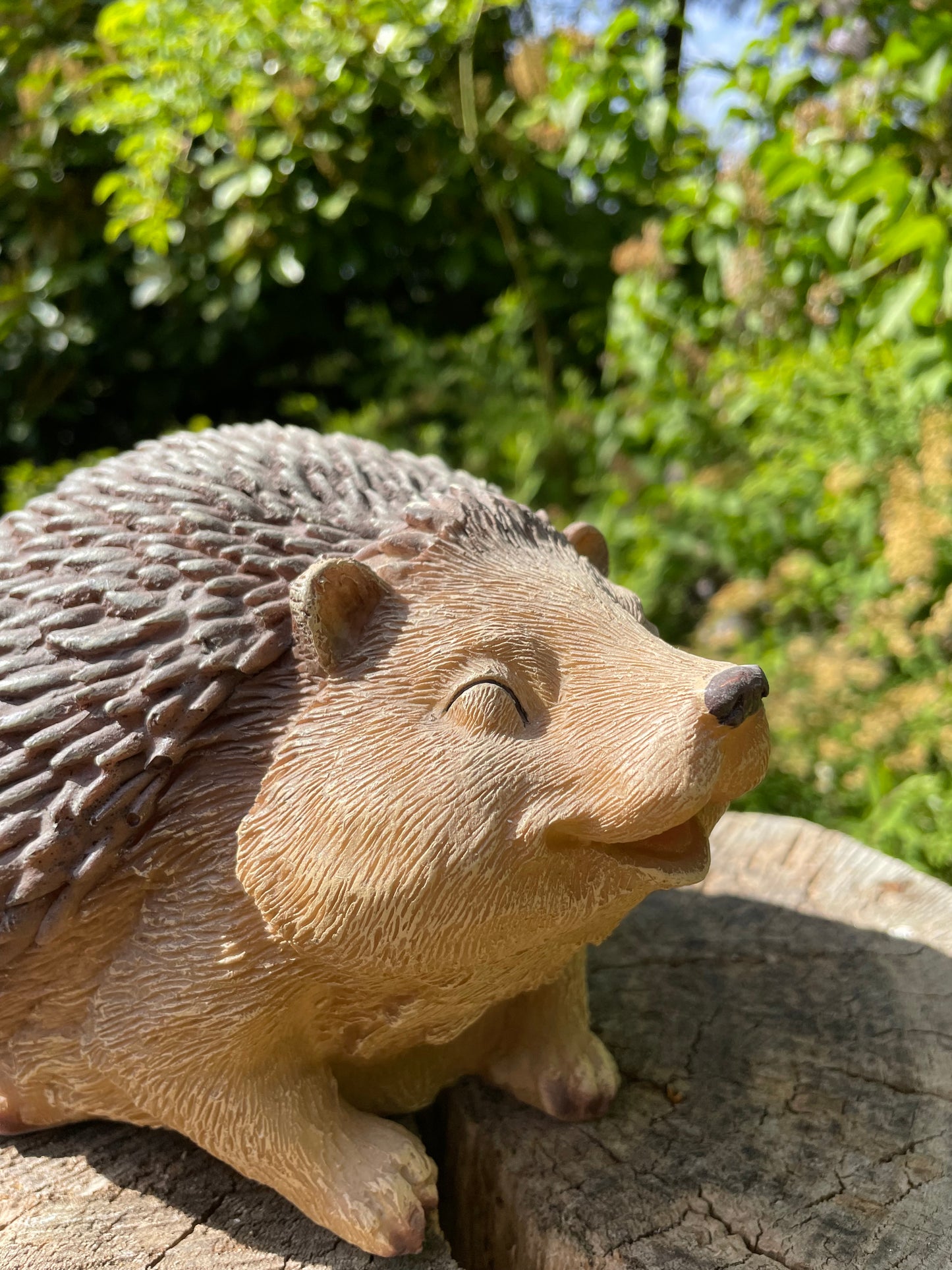 Beeld egel, tuin, gazon, boerderij 20cm