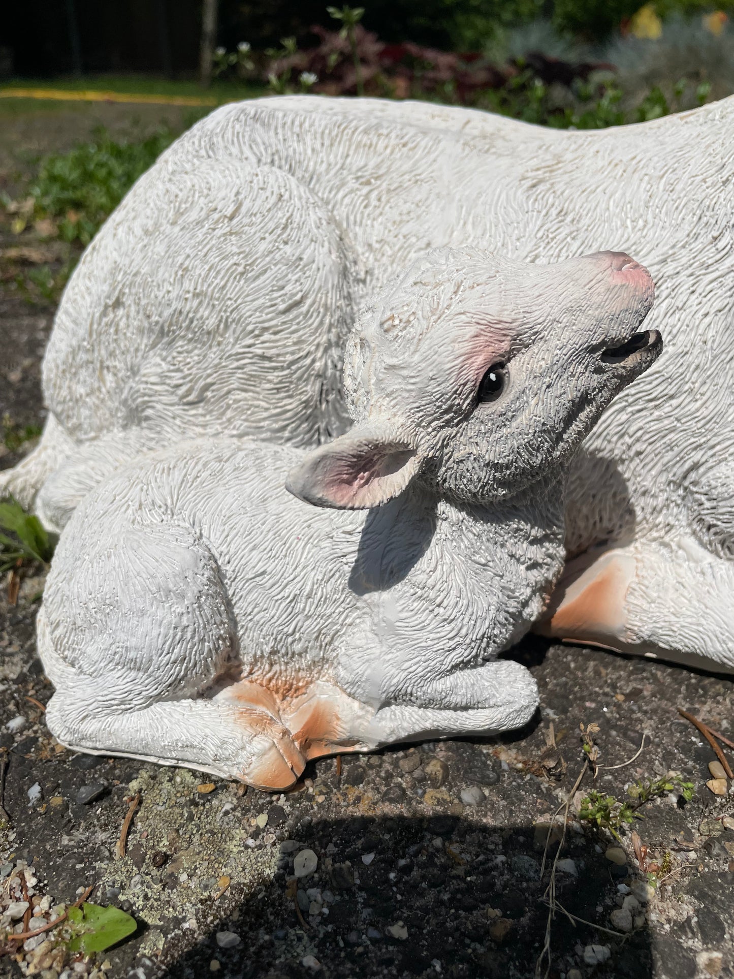Geit wit liggend lammetje tuin, gazon, boerderij 40cm