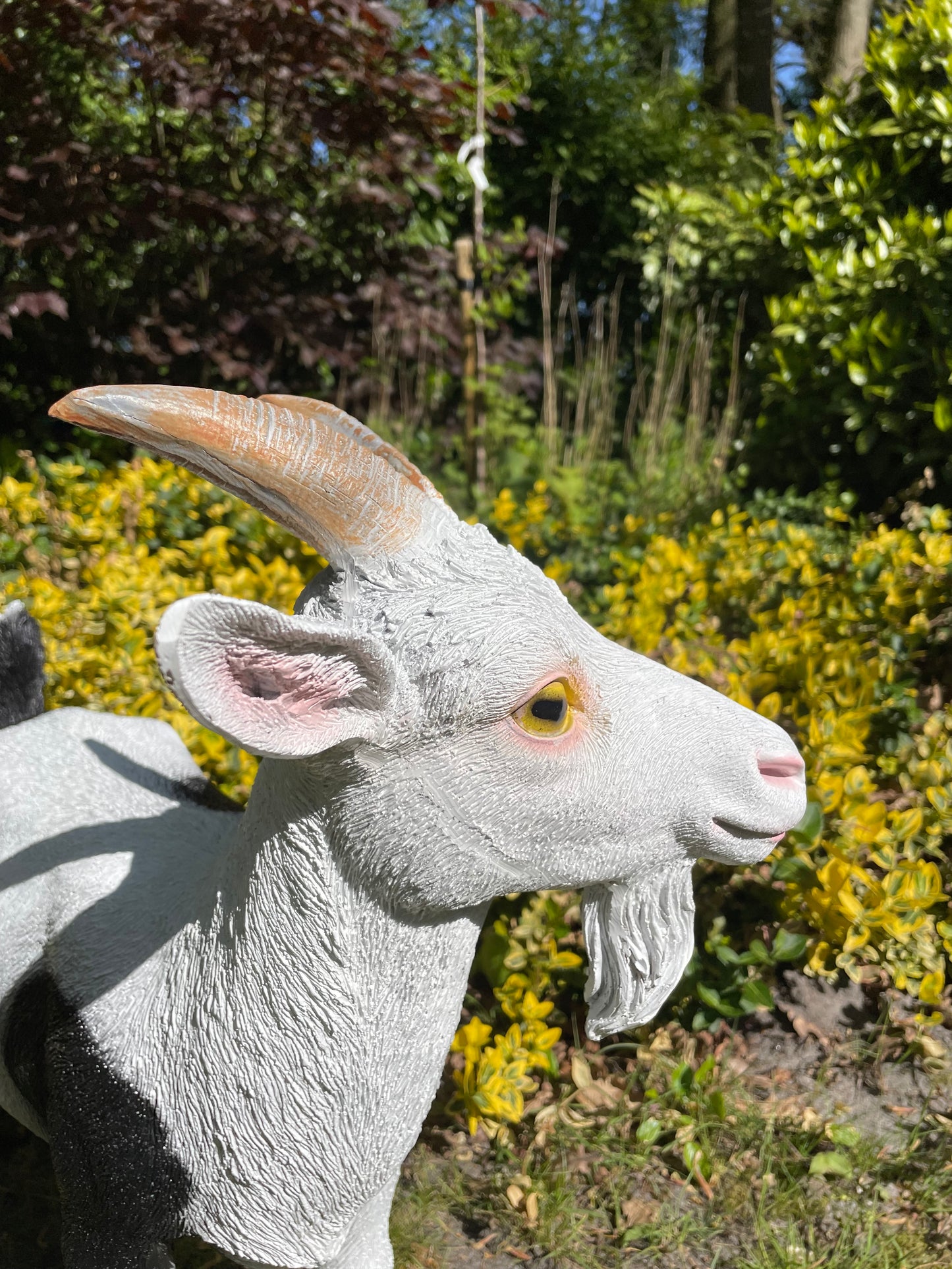 Beeld Bok Geit witte sik tuin, gazon, boerderij 60cm
