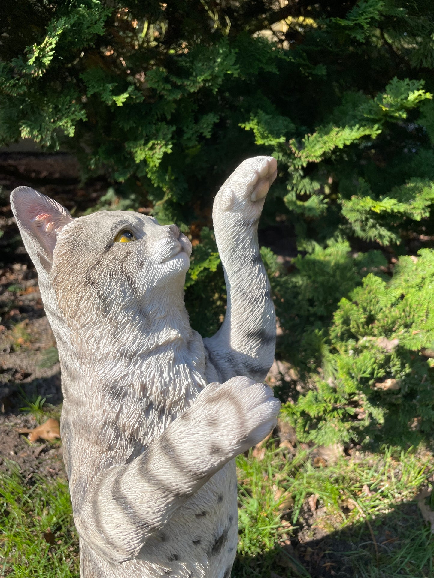 (Tuin)Beeld Poes, kat, tuin, gazon, kitten, boerderij 50cm