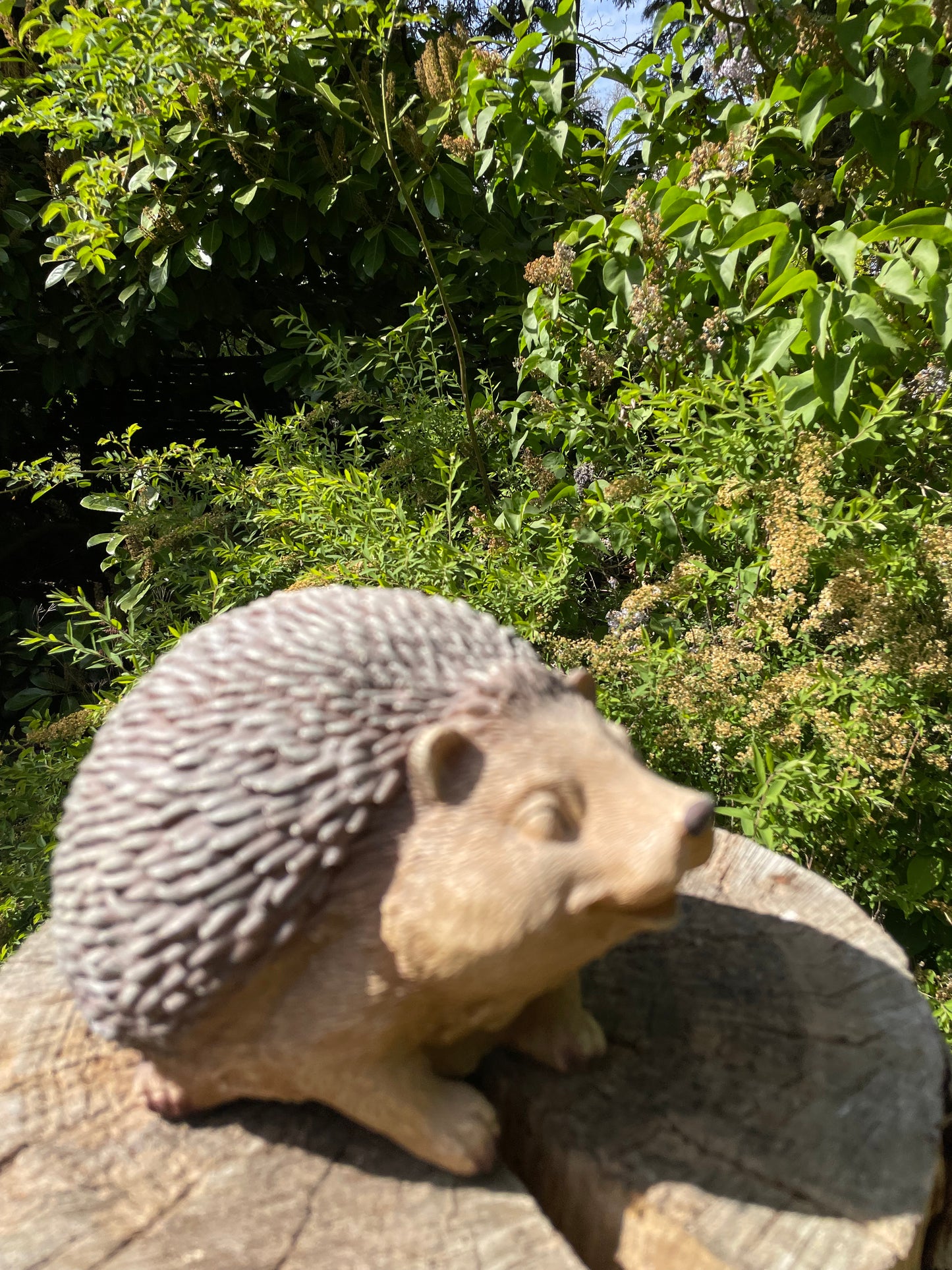 Beeld egel, tuin, gazon, boerderij 20cm