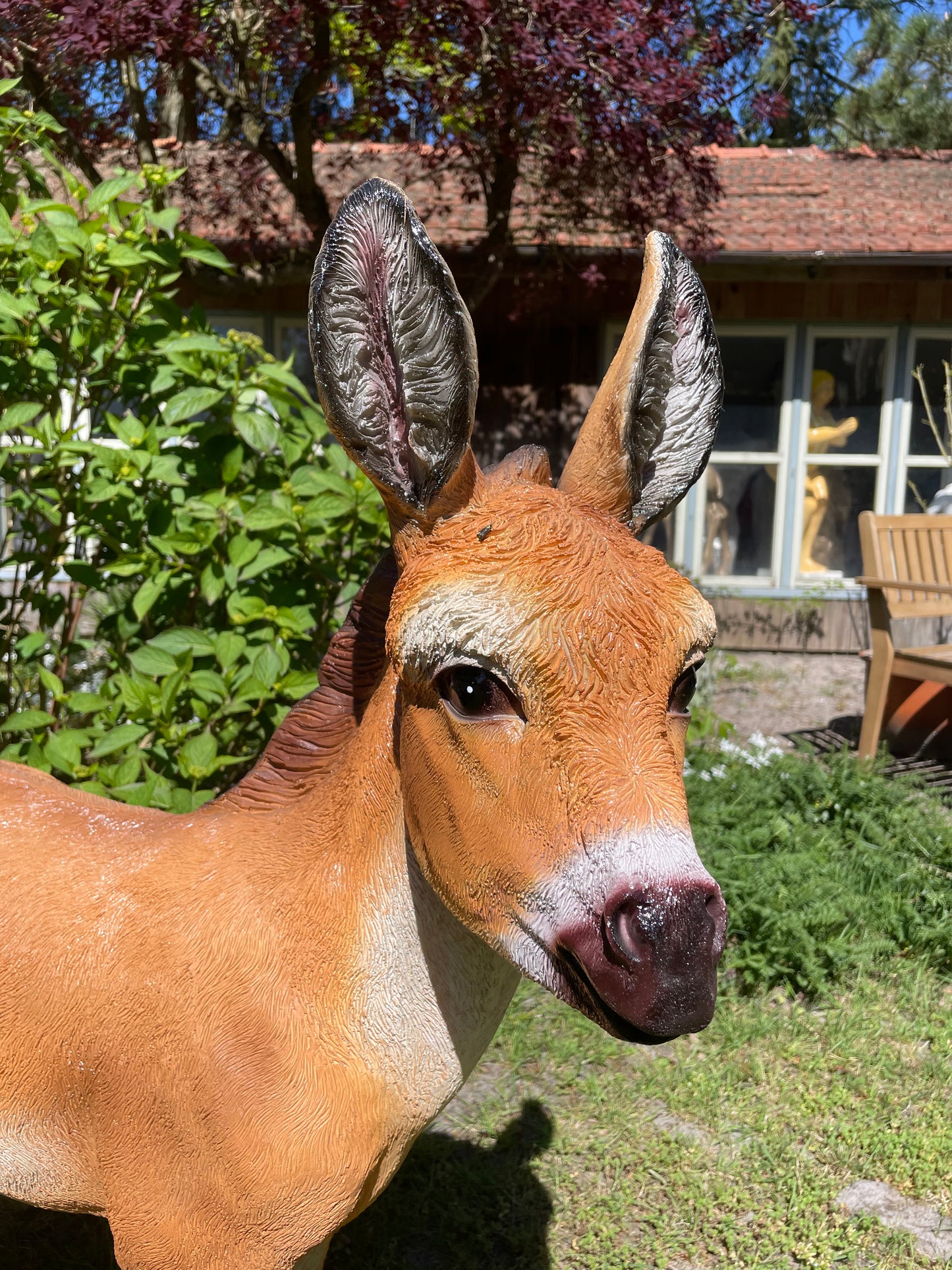 Ezel bruin, tuin, boerderij, vijver, dierentuin 100cm