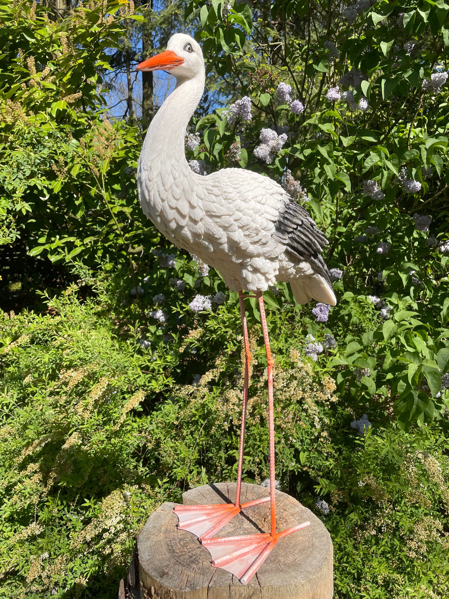 Ooievaar, tuin, boerderij, vijver, dierentuin 80cm