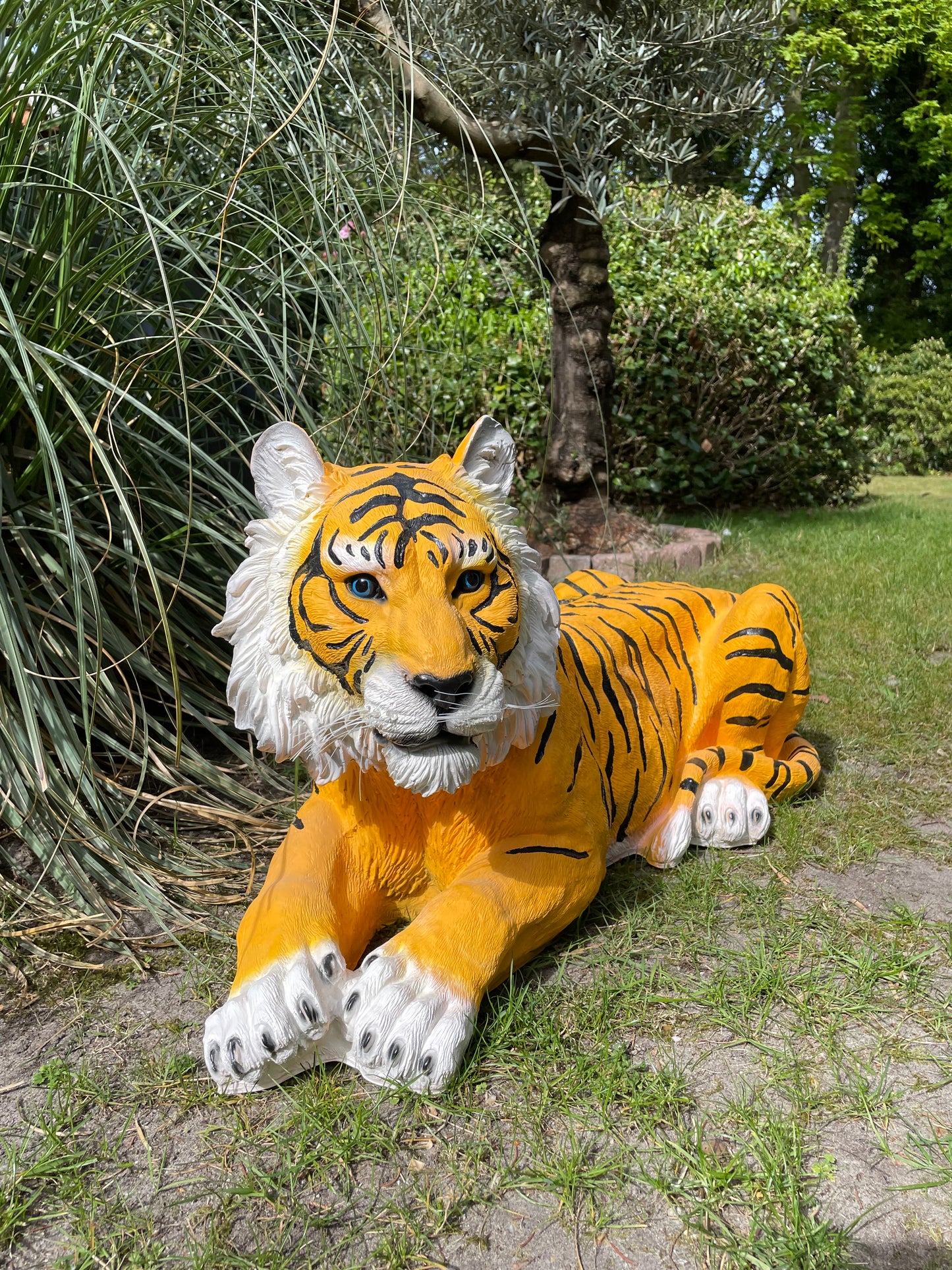 Beeld tijger tuin, gazon, dierentuin, boerderij 85cm