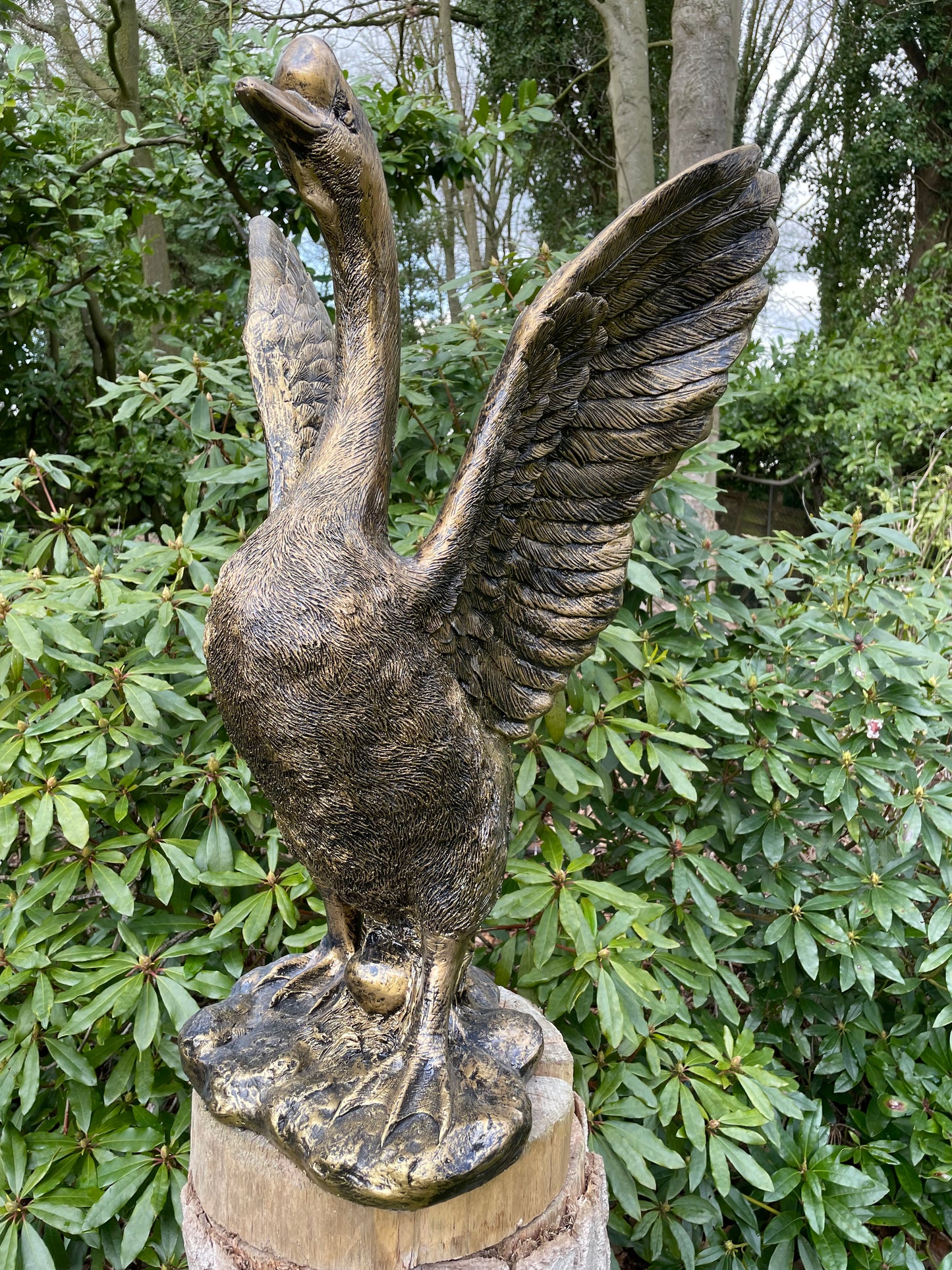 (Tuin)Beeld Gans, tuin, zwembad, vijver, gazon 80cm