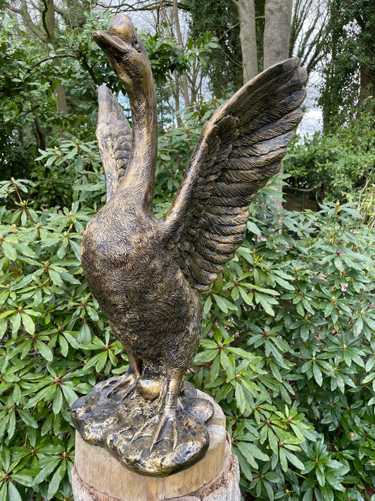 (Tuin)Beeld Gans, tuin, zwembad, vijver, gazon 80cm