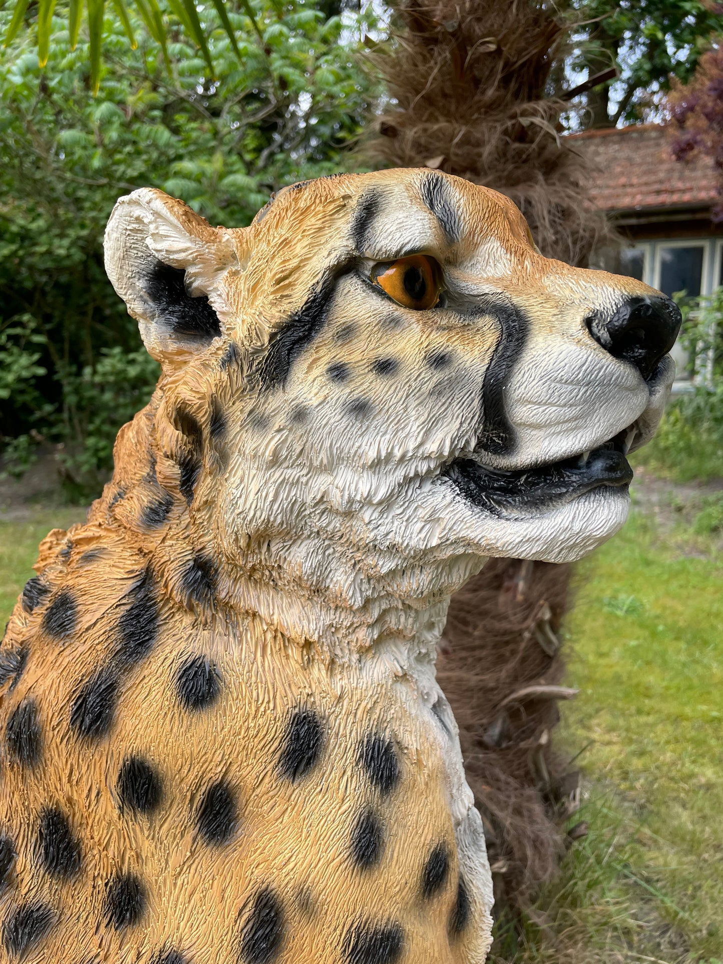 Tuinbeeld cheeta zittend gazon, tuin, dierentuin, 95 cm