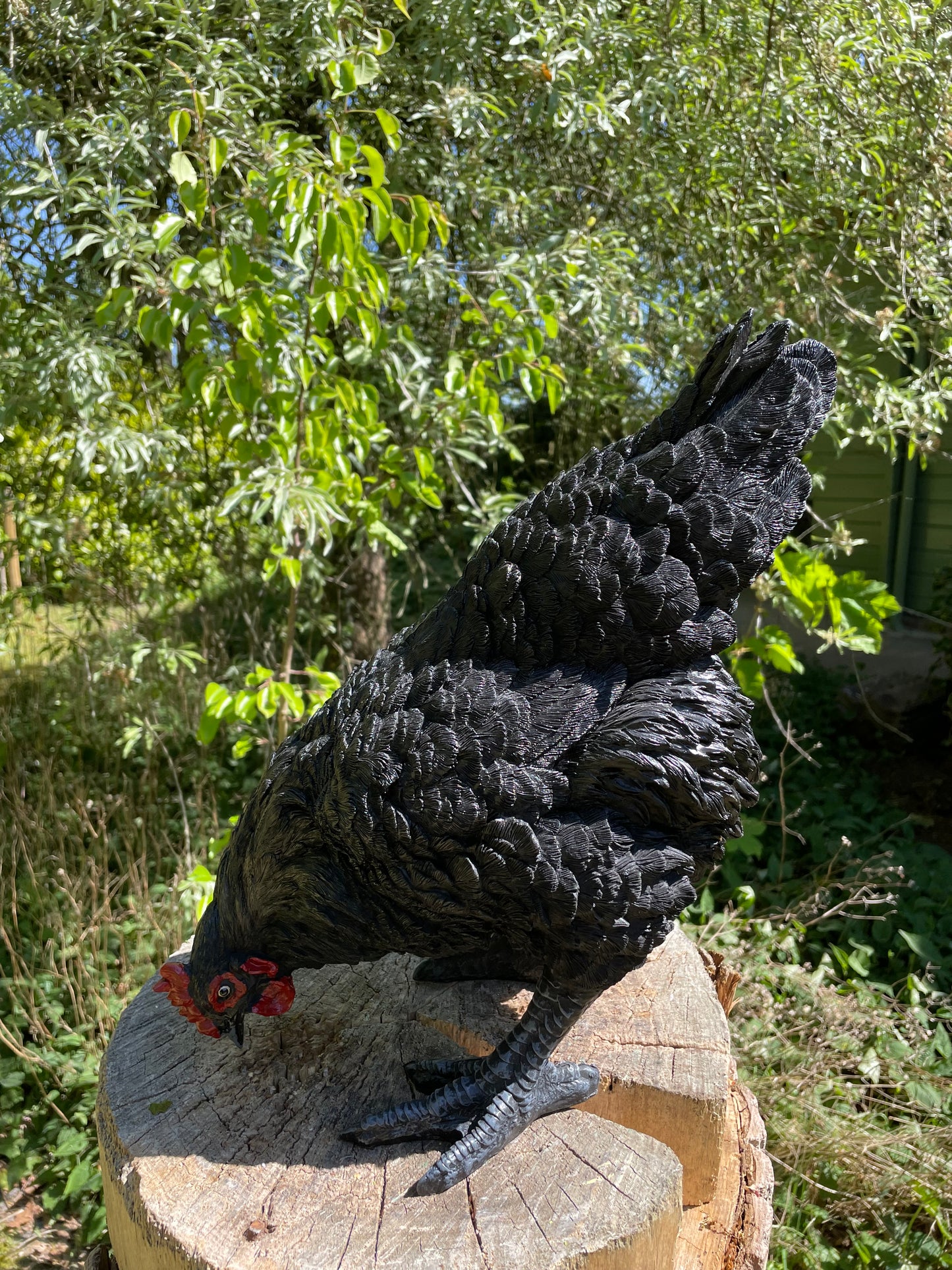 Beeld kip, zwart, tuin, vijver, gazon, boerderij 35cm