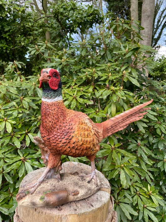 Beeld fazant, tuin, vijver, gazon, boerderij 80cm