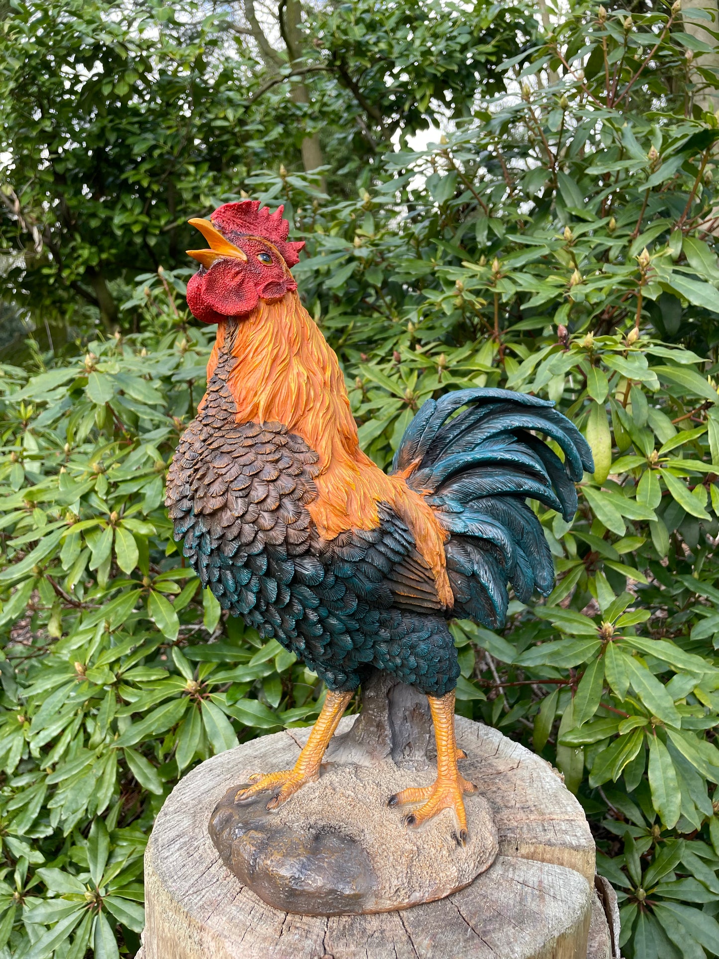 Beeld Haan, tuin, vijver, gazon, boerderij 50cm