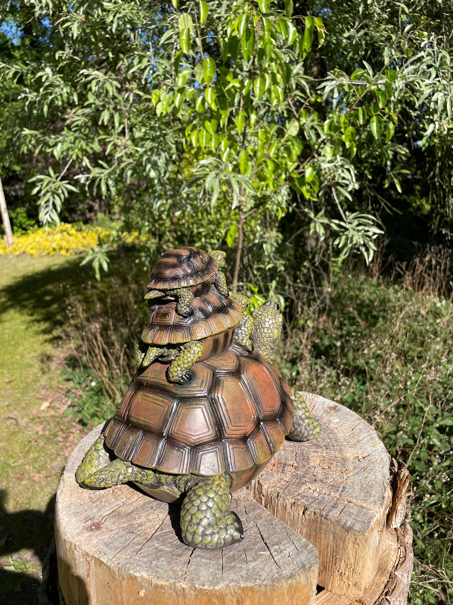 Baby 2x schildpad, gazon, tuin, vijver, 30 cm