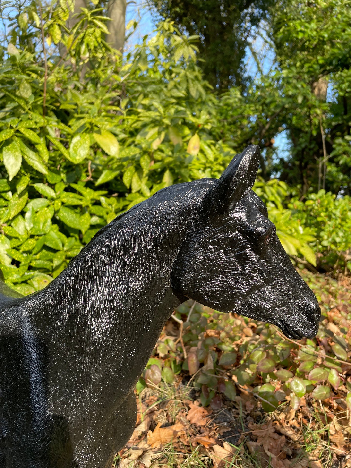 Paard, pony, veulen manege tuin paardrijden 70cm