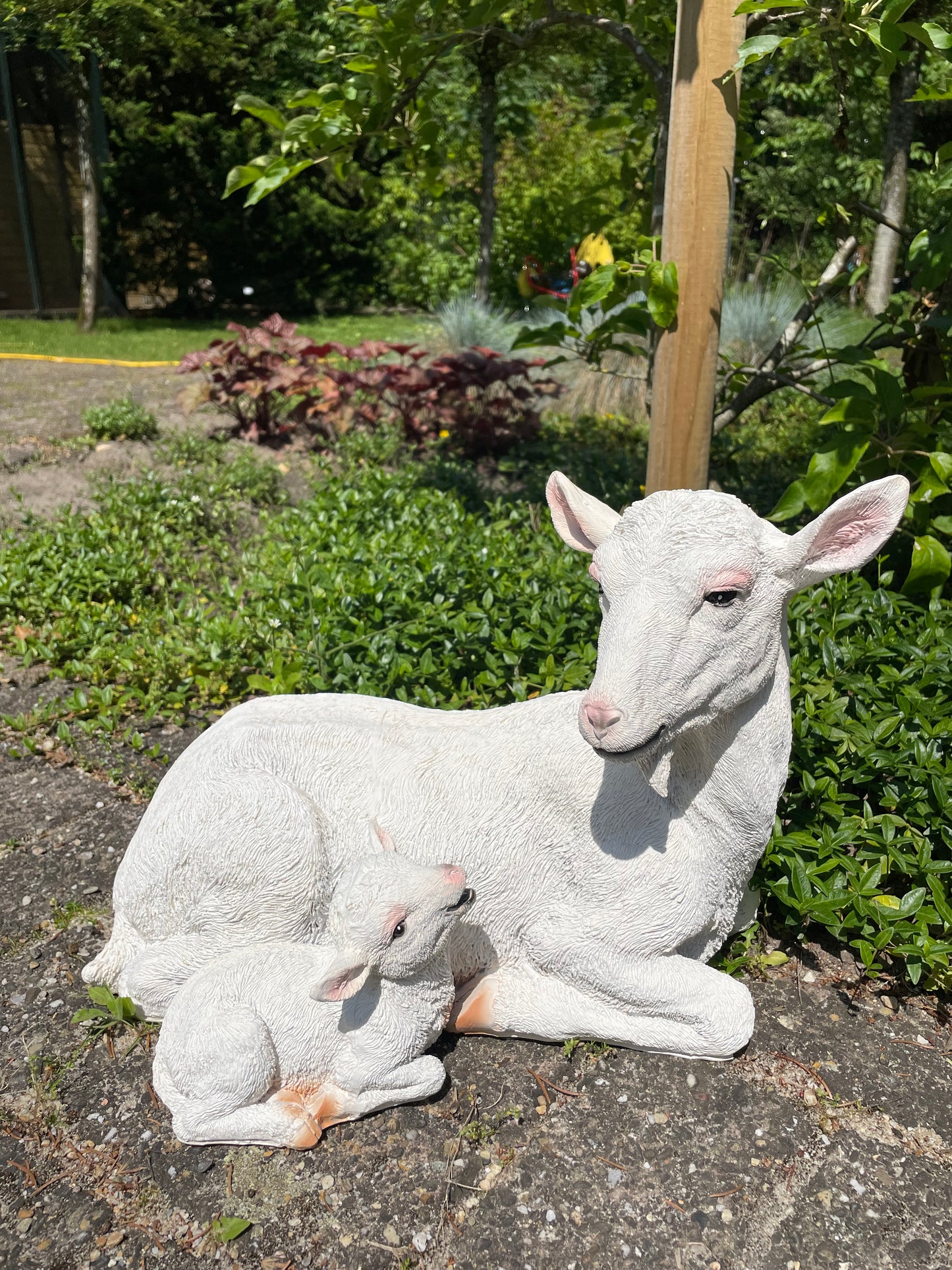 Geit wit liggend lammetje tuin, gazon, boerderij 40cm