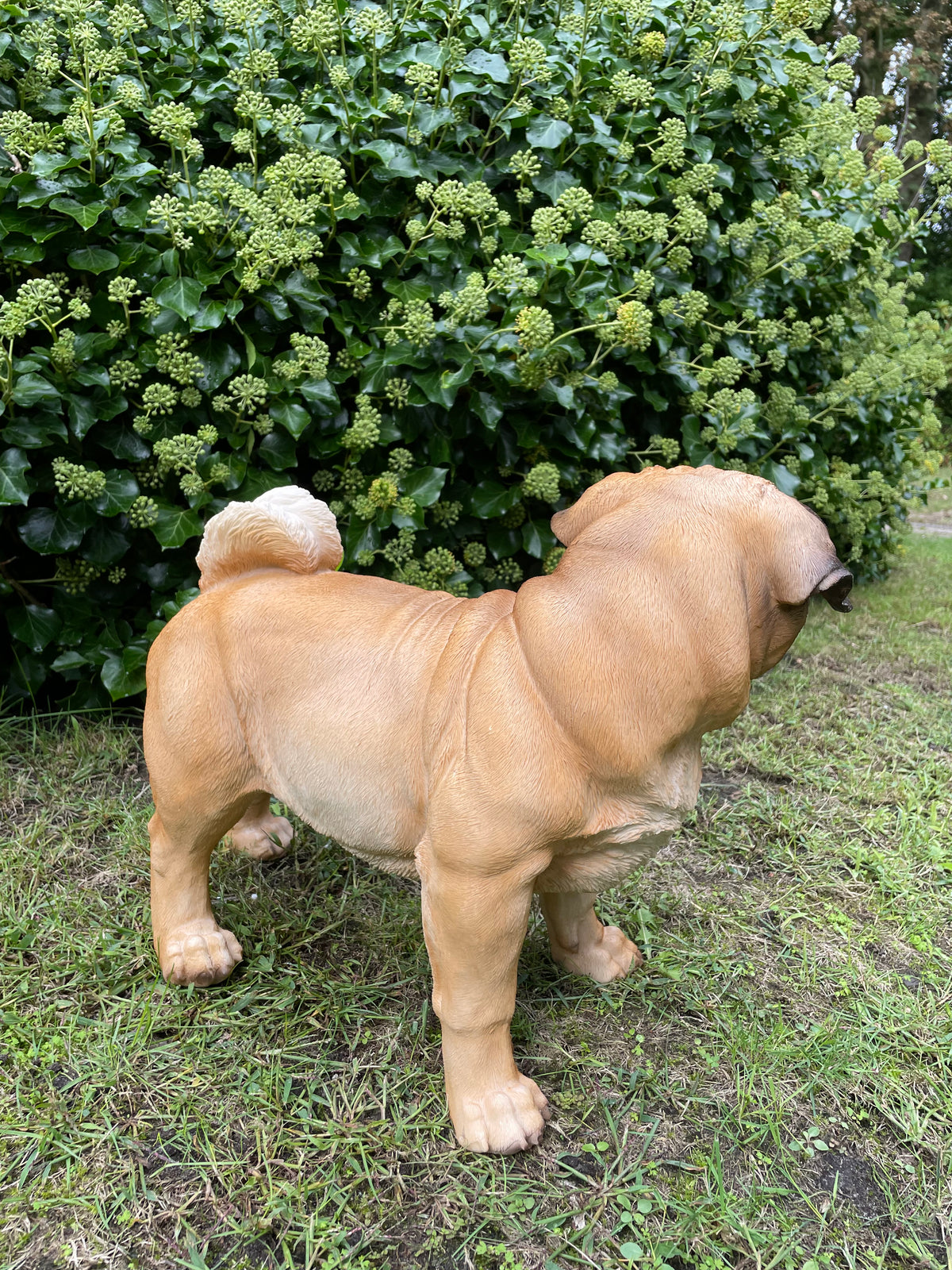Mops hondje staand 50cm