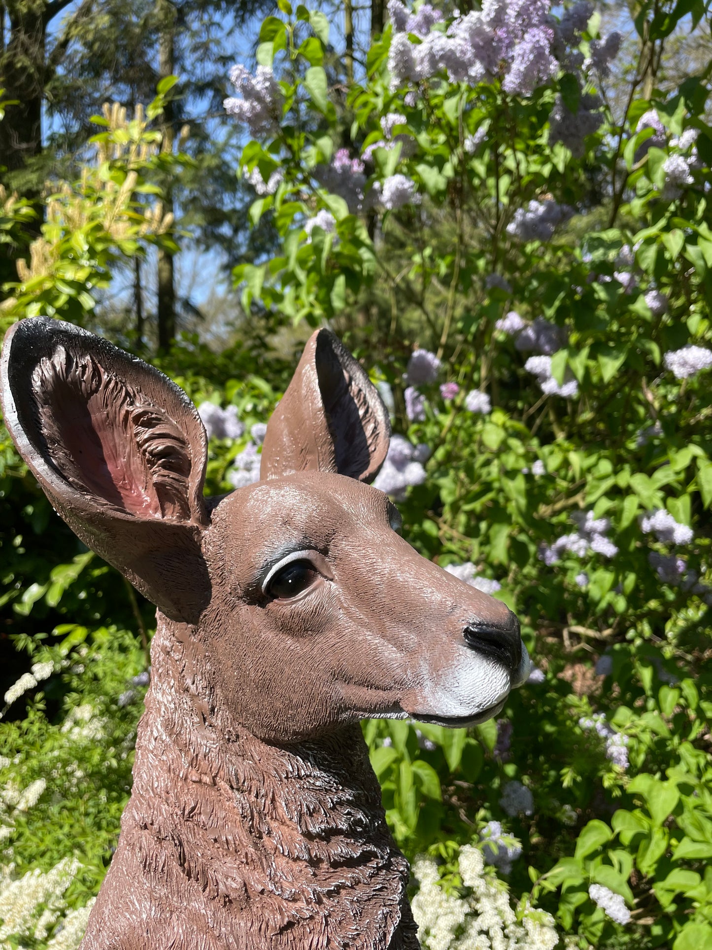 Beeld Kangoeroe klein tuin, vijver, boerderij, dierentuin 55cm