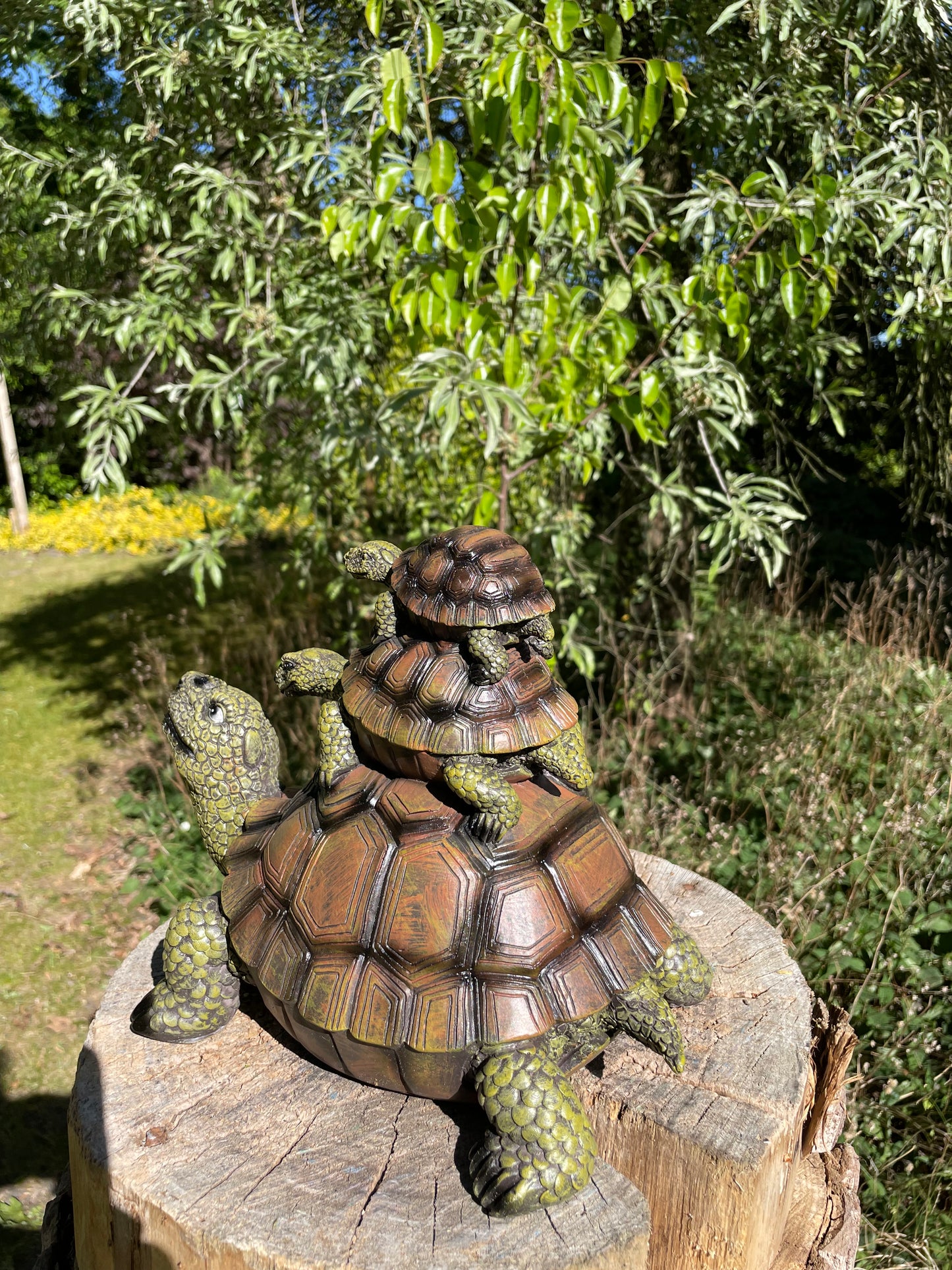Baby 2x schildpad, gazon, tuin, vijver, 30 cm