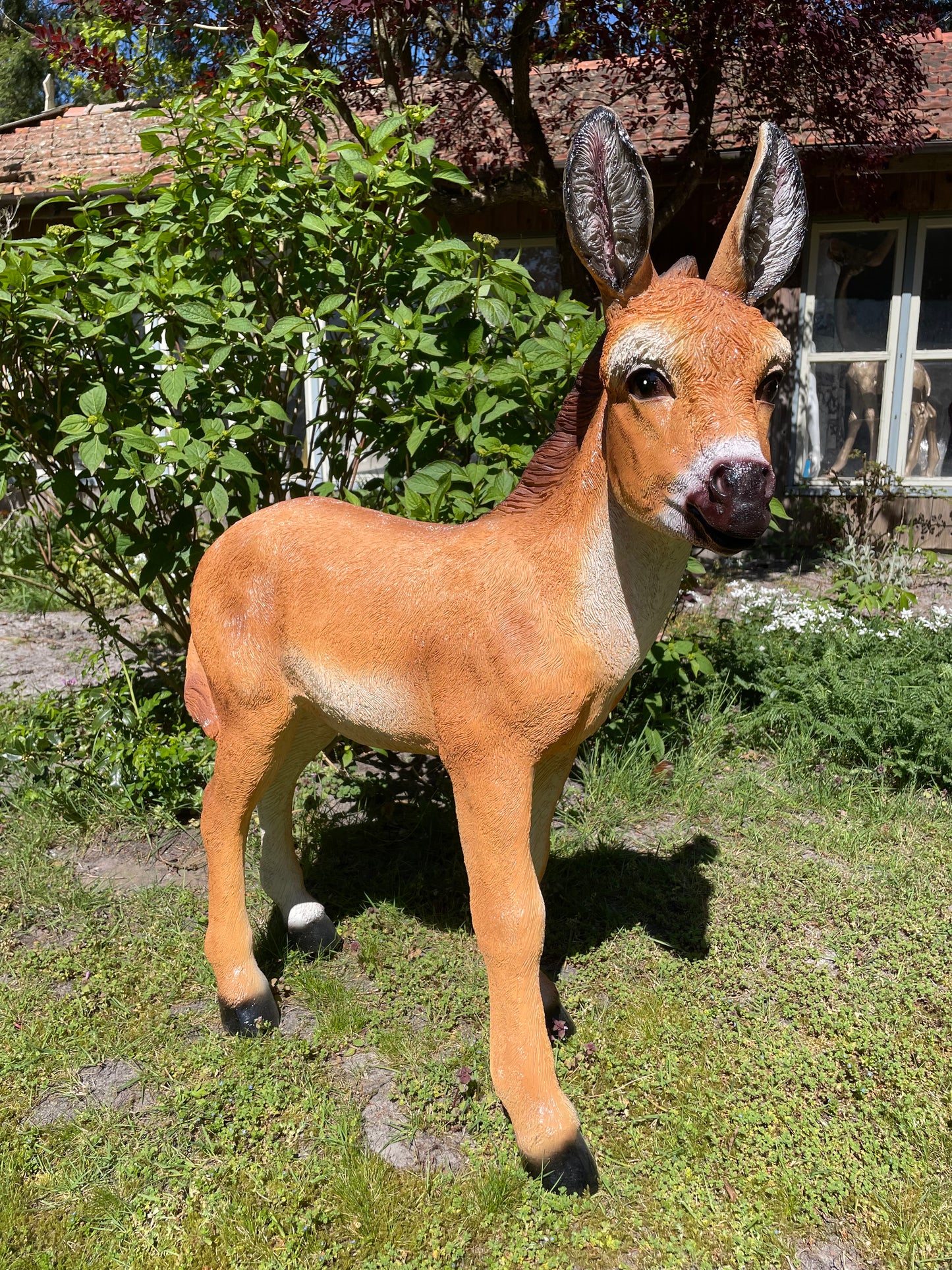 Ezel bruin, tuin, boerderij, vijver, dierentuin 100cm