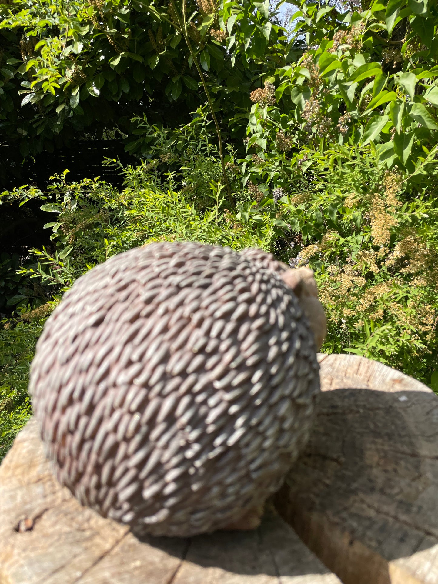 Beeld egel, tuin, gazon, boerderij 20cm