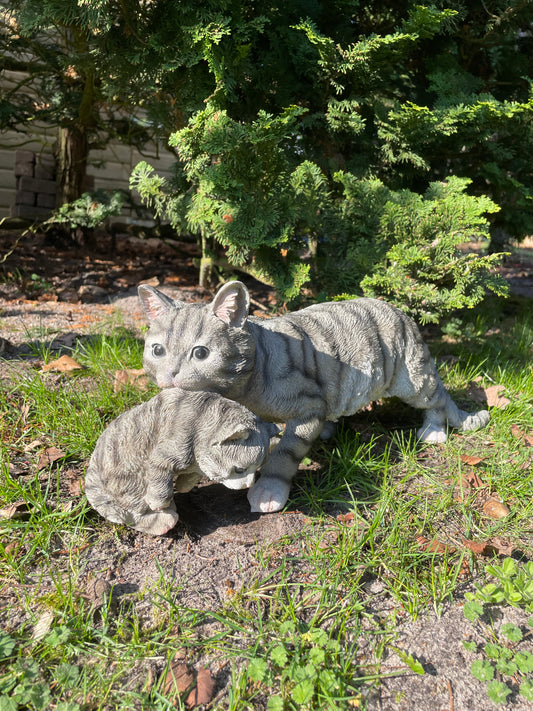 Poes, kat, tuin, gazon, kitten, boerderij 50cm