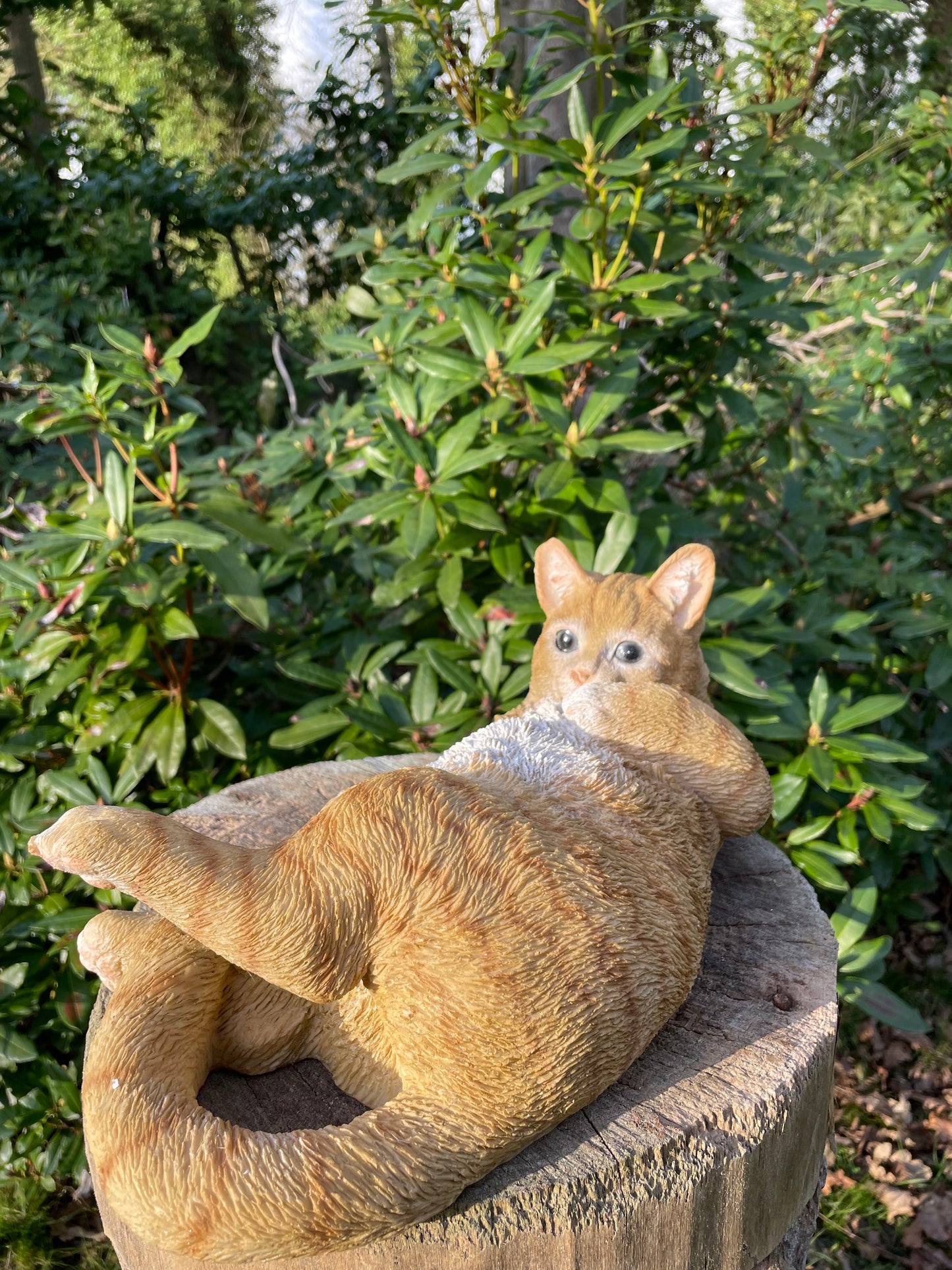 Poes, kat, liggend bruin 40cm