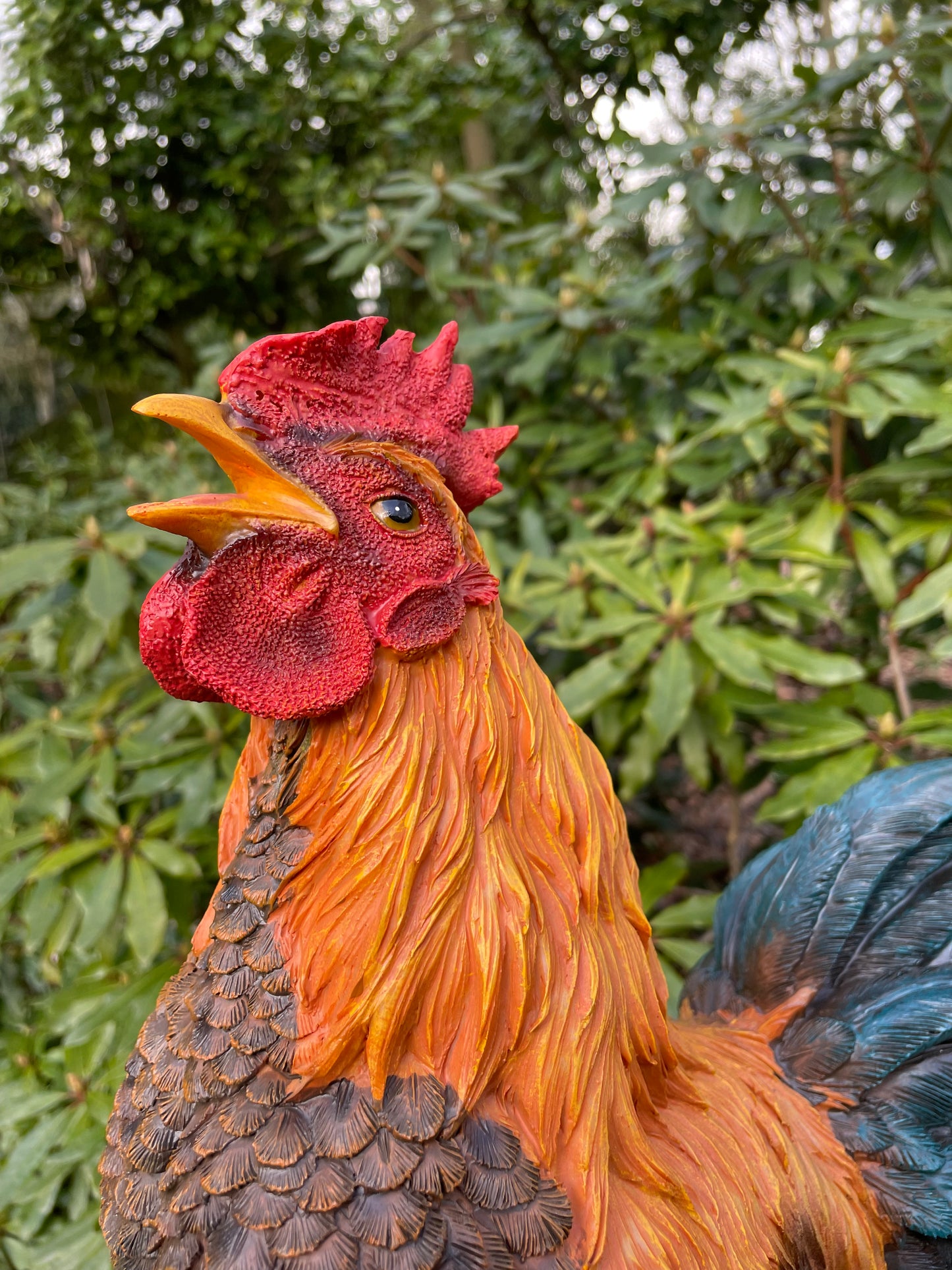Beeld Haan, tuin, vijver, gazon, boerderij 50cm