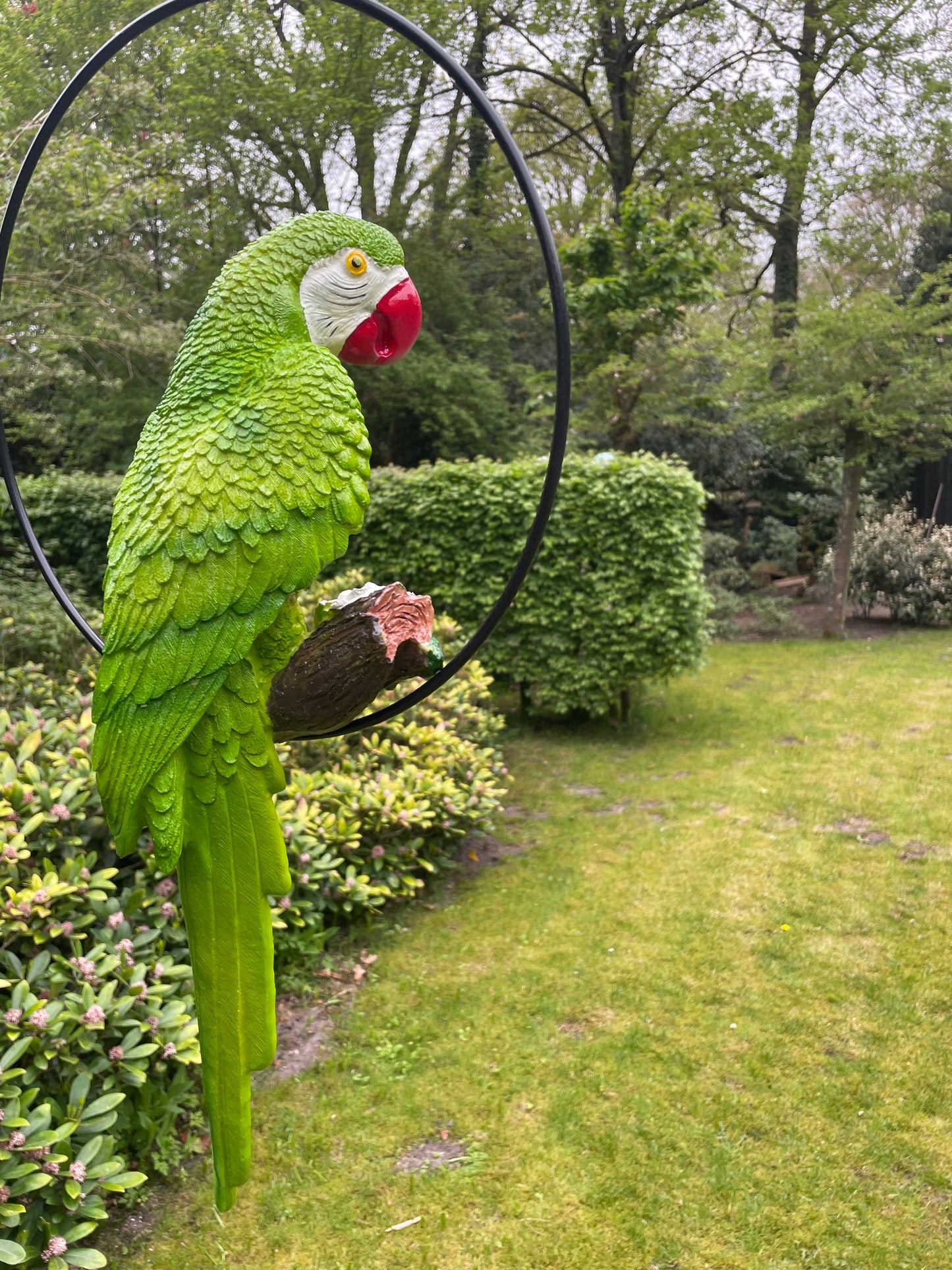 Beeld papegaai Groen, zwembad, vijver, tuin, balkon 50cm