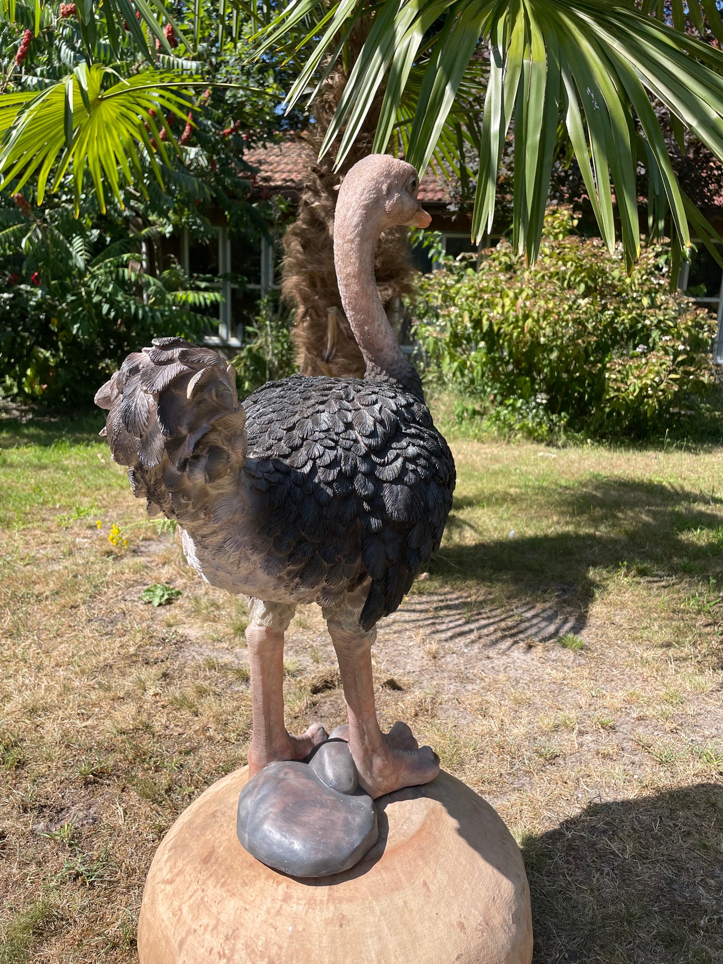 Beeld Struisvogel, gazon, tuin, vijver, dierentuin 70cm