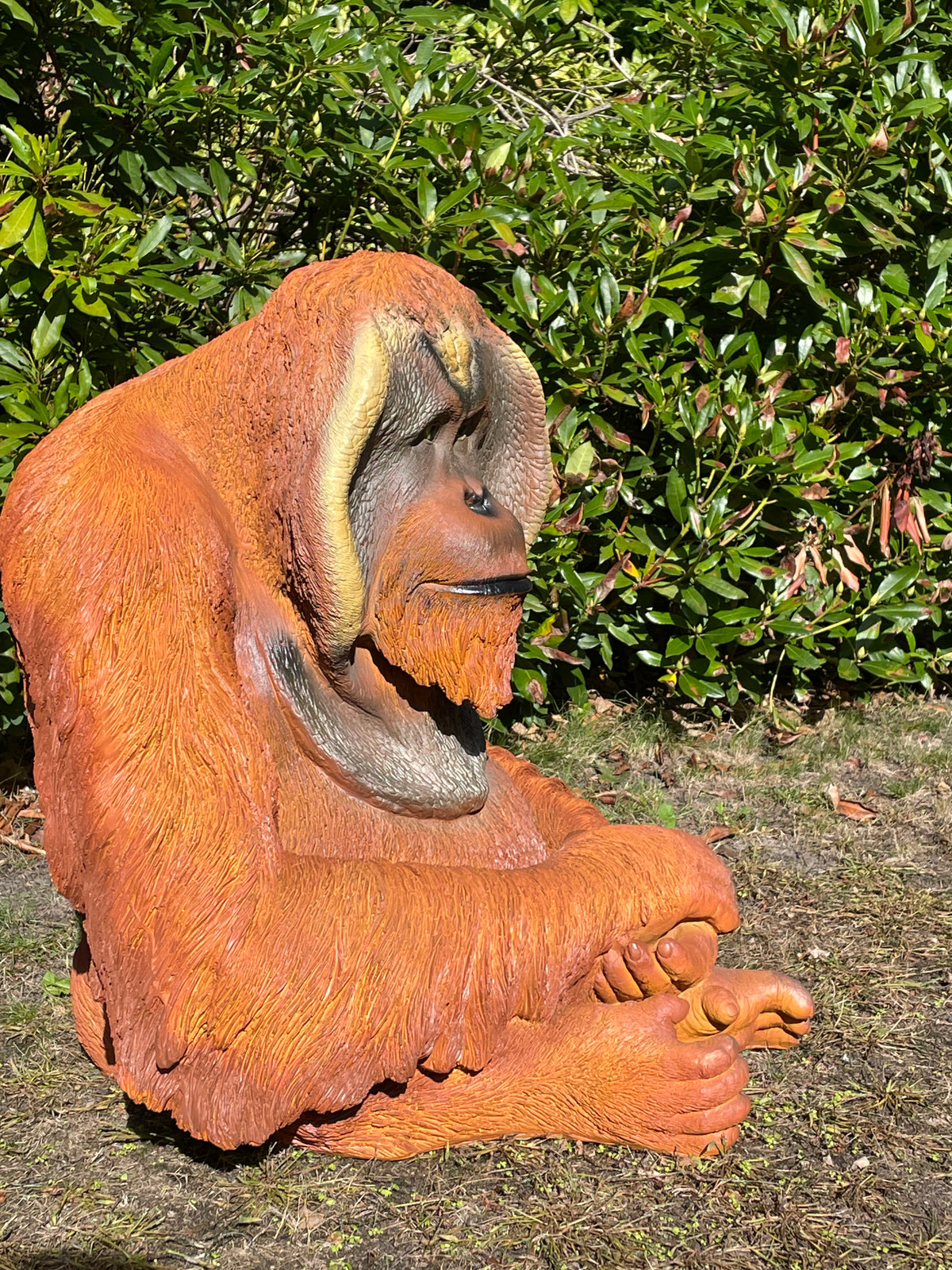 Orang Oetan  tuin, zwembad, vijver 80cm